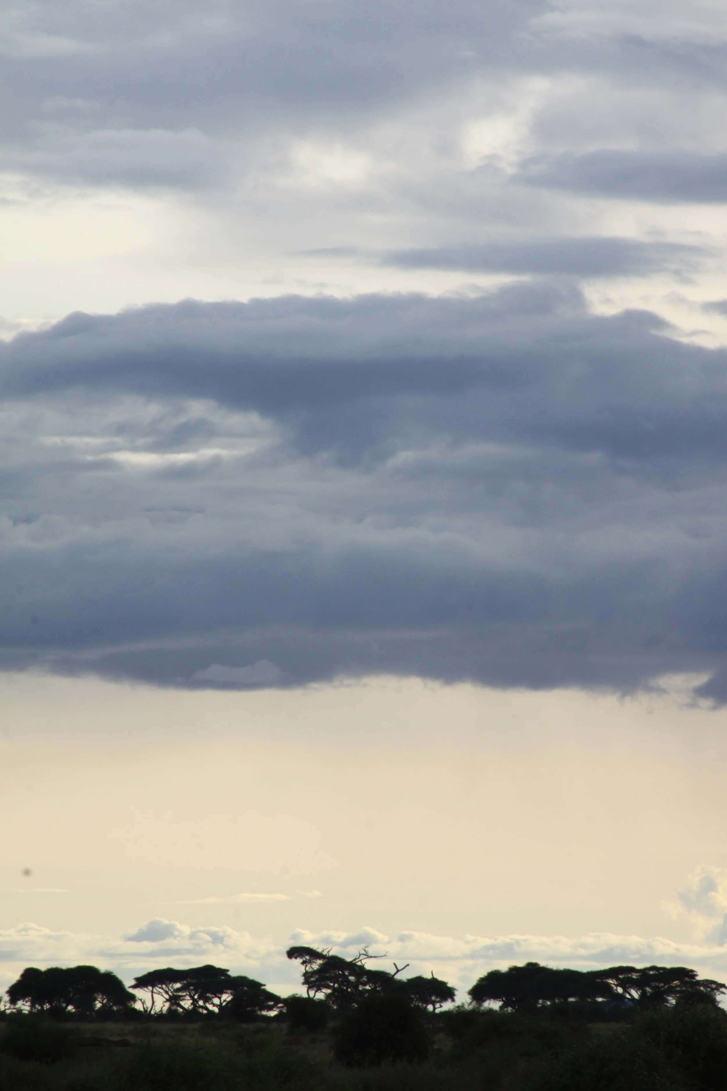 20140509_BrianLeighton_9708 copy.JPG