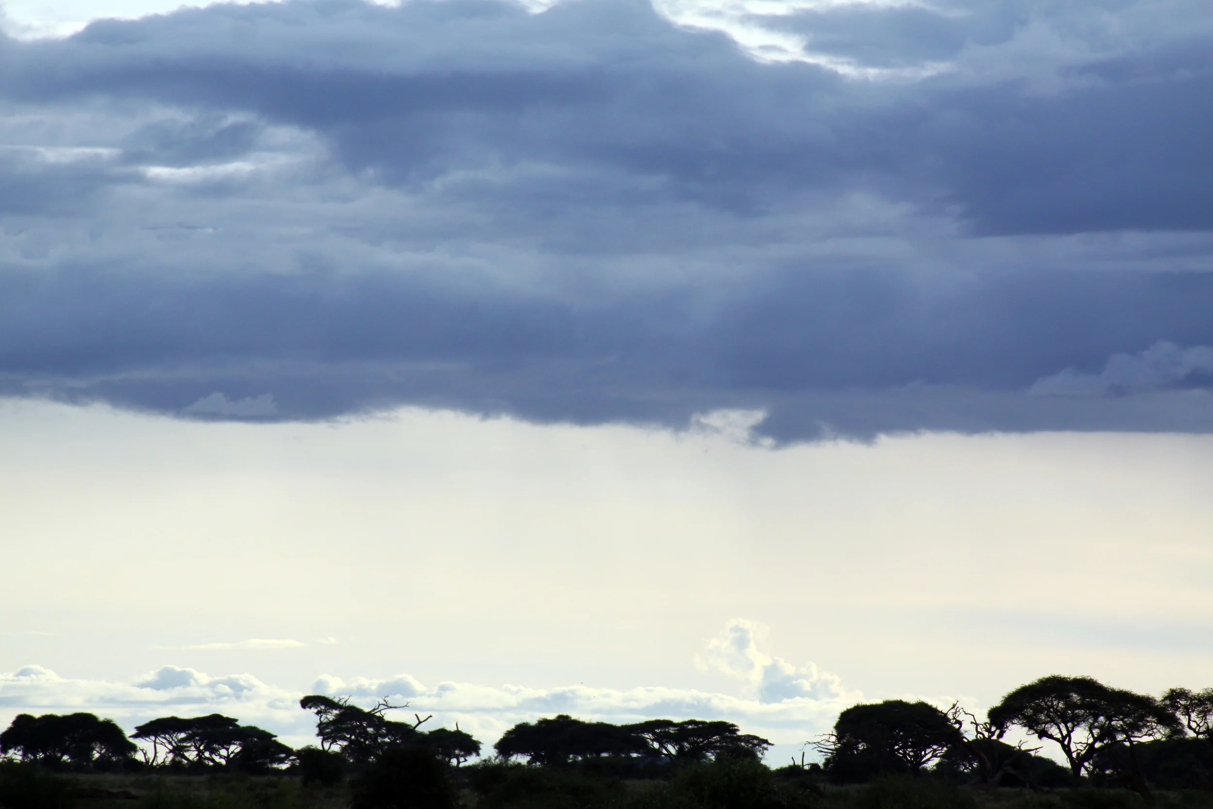 20140509_BrianLeighton_9709 copy.JPG