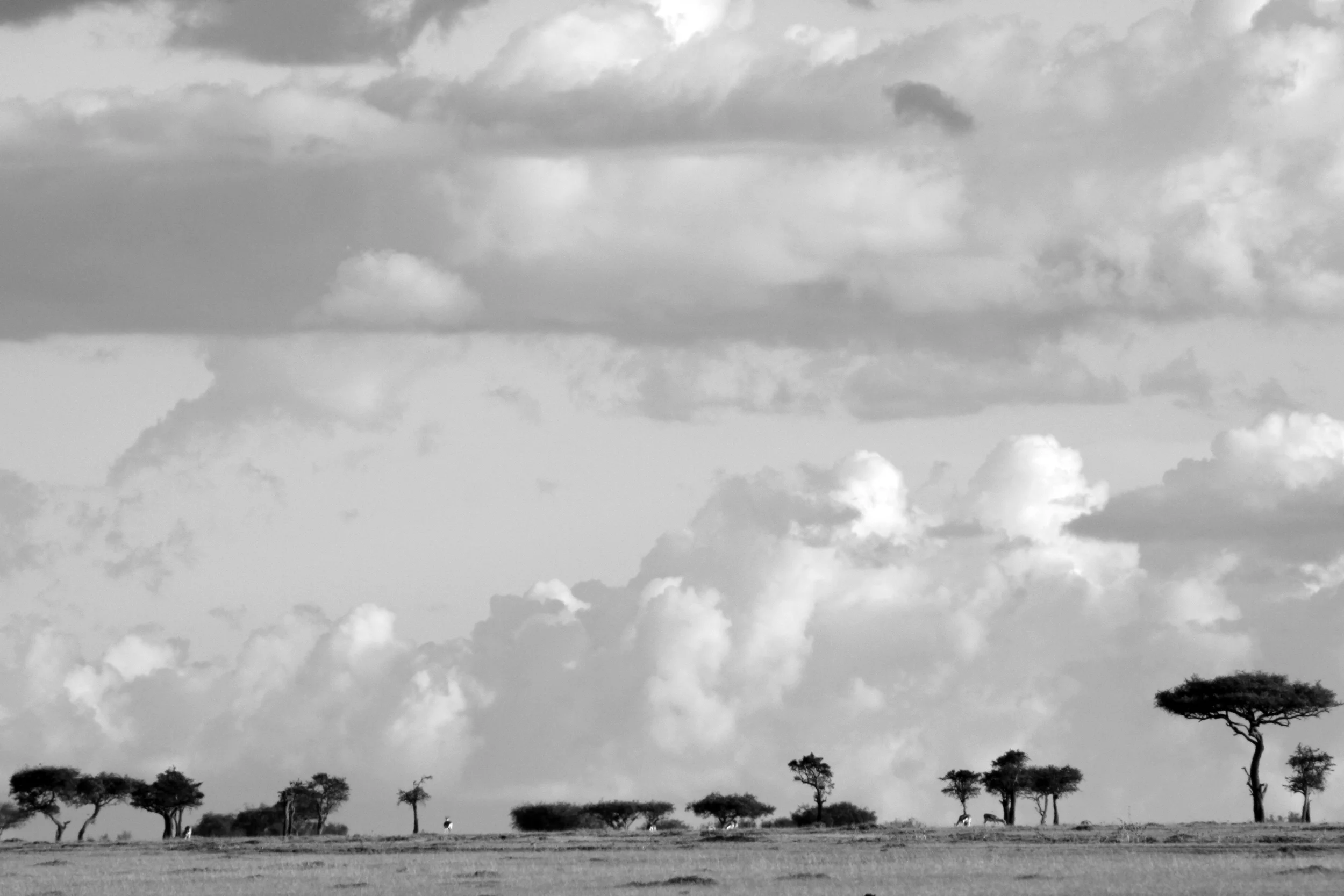 20140513_BrianLeighton_9960 copy.JPG