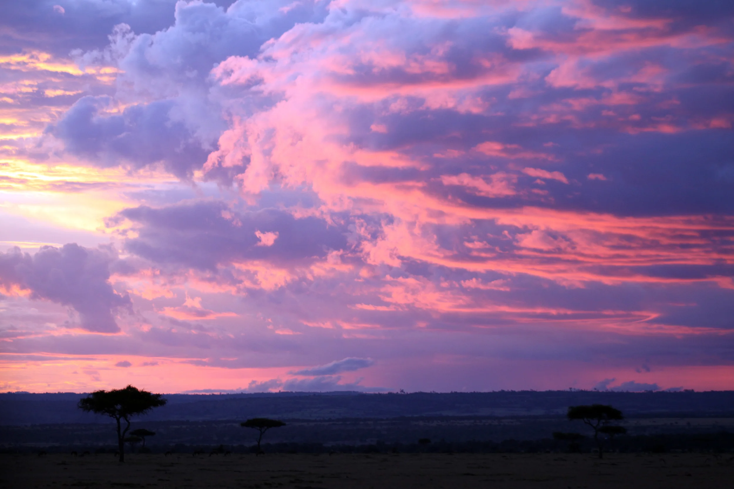 20140513_BrianLeighton_9999_8 copy.JPG