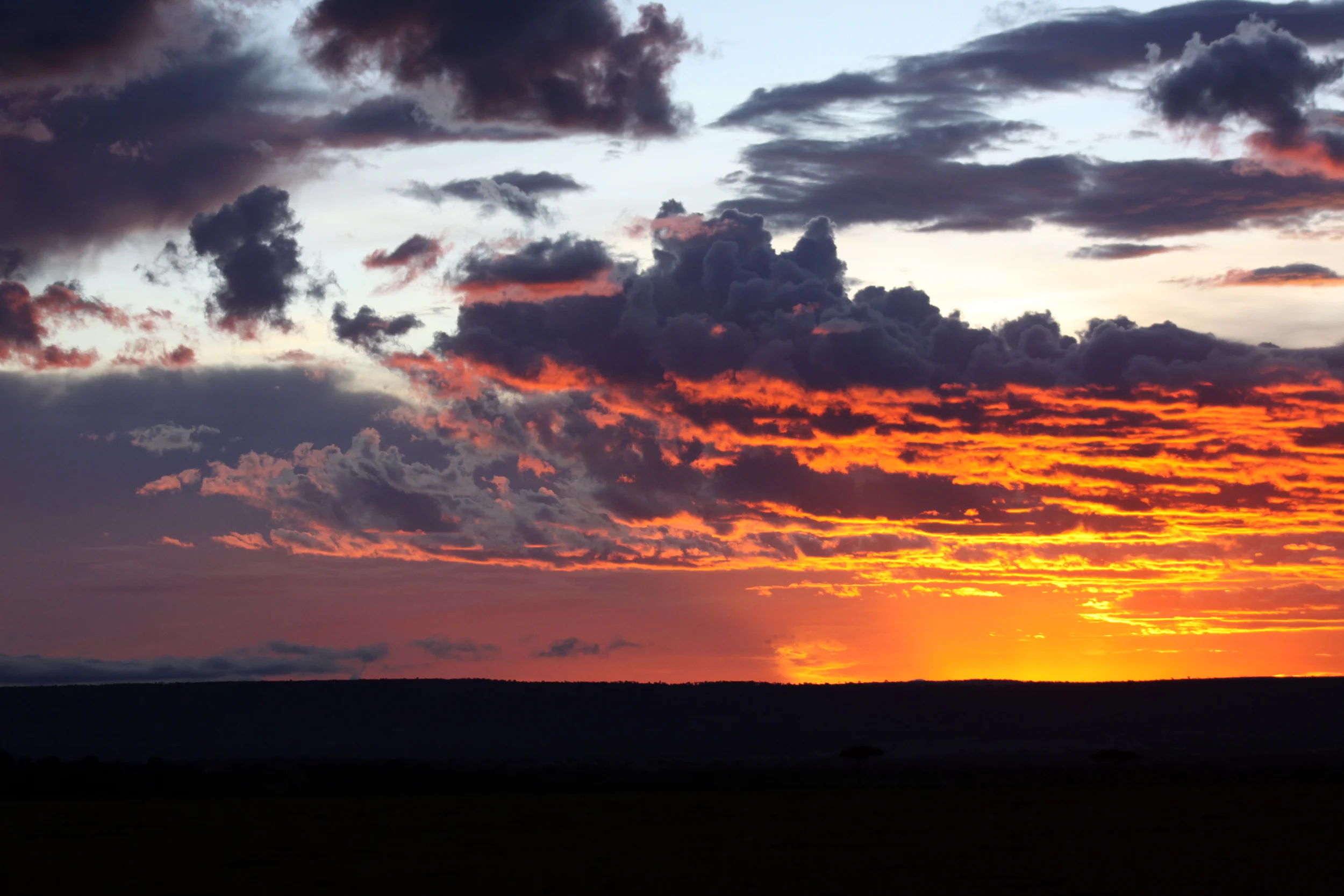 20140513_BrianLeighton_9999_10 copy.JPG