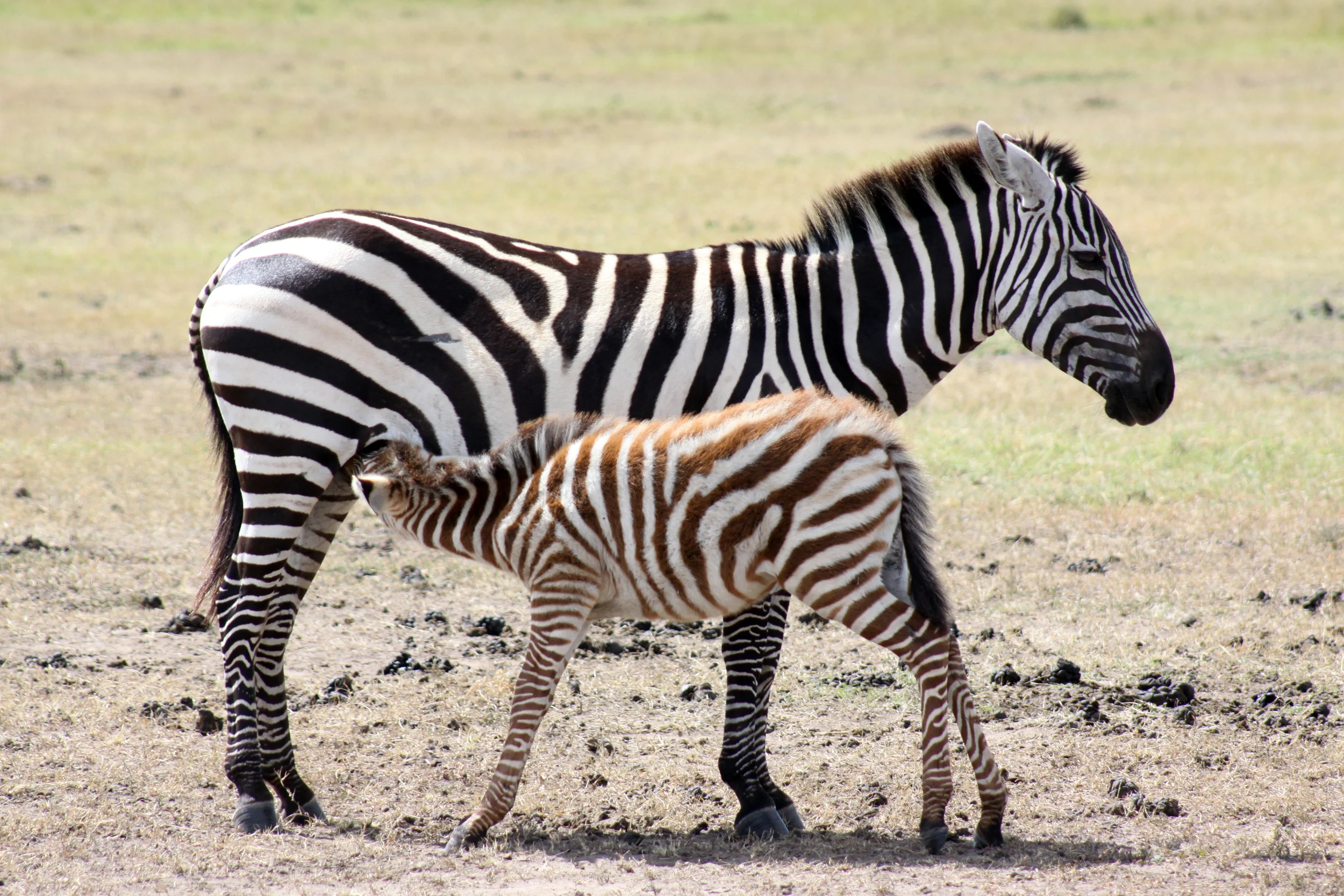 20140514_BrianLeighton_9999_2a copy.JPG