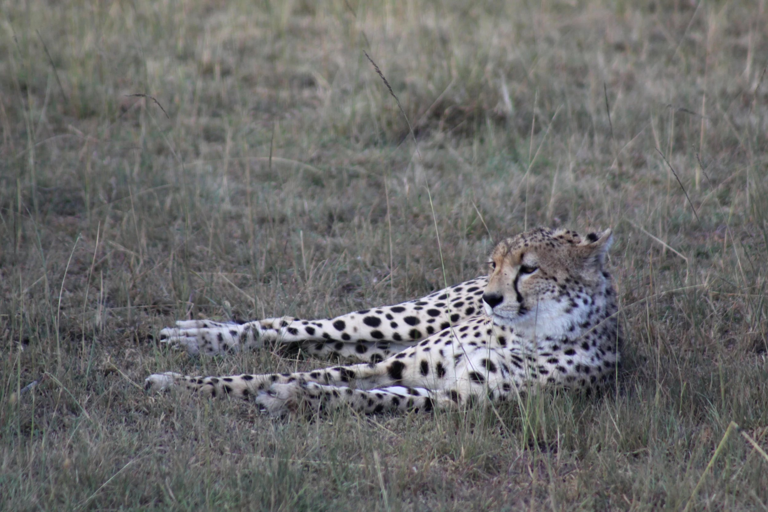 20140514_BrianLeighton_9999_20a copy.JPG