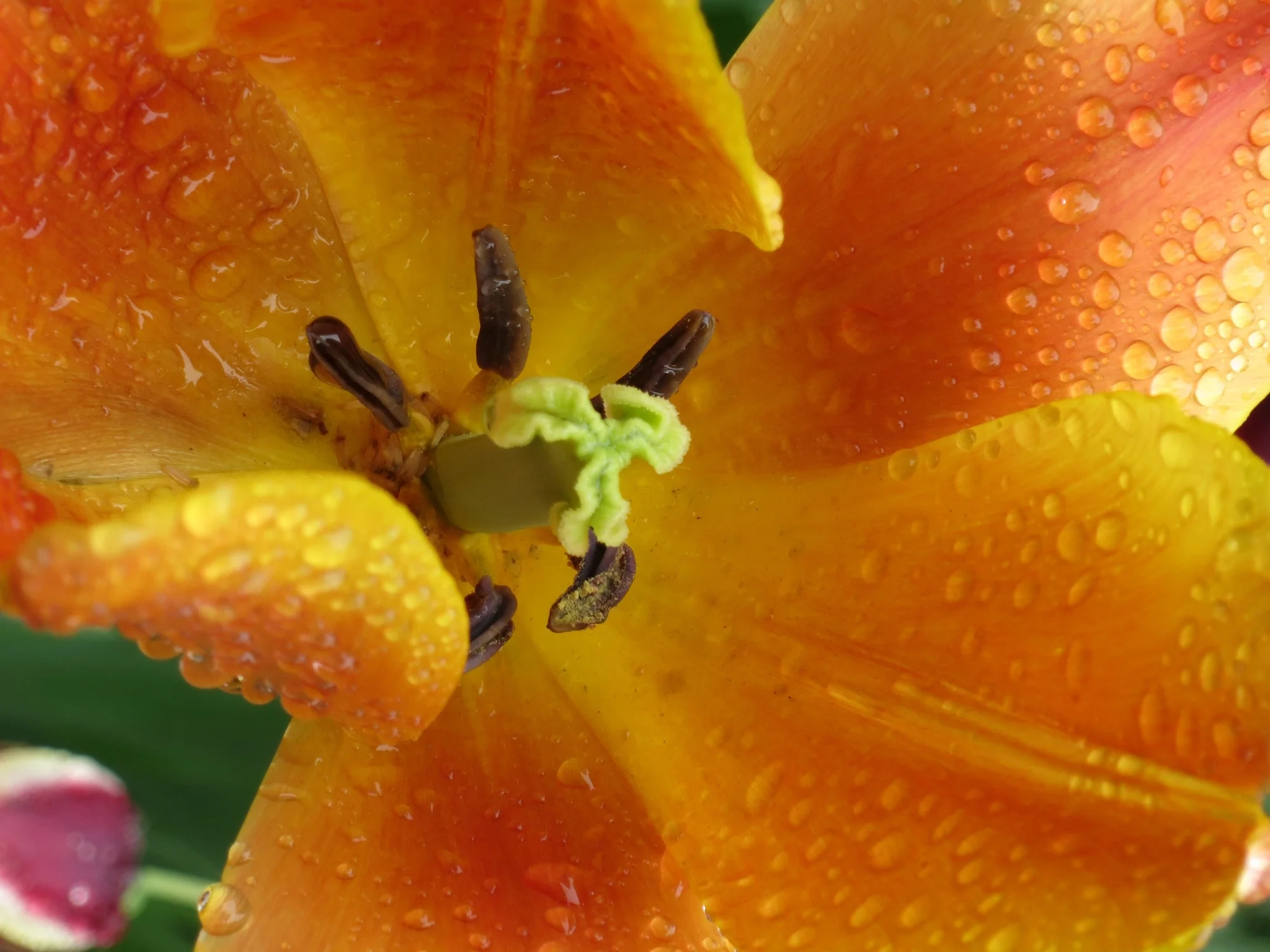 20130508_BrianLeighton_2050.JPG