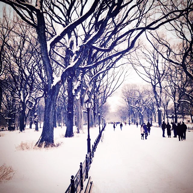 CentralParkWinter.JPG