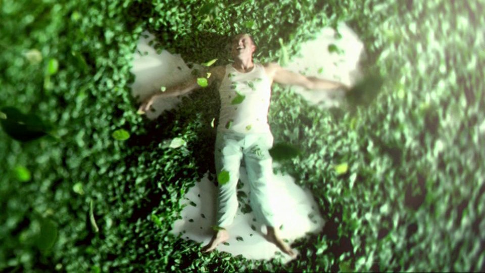 Spinach