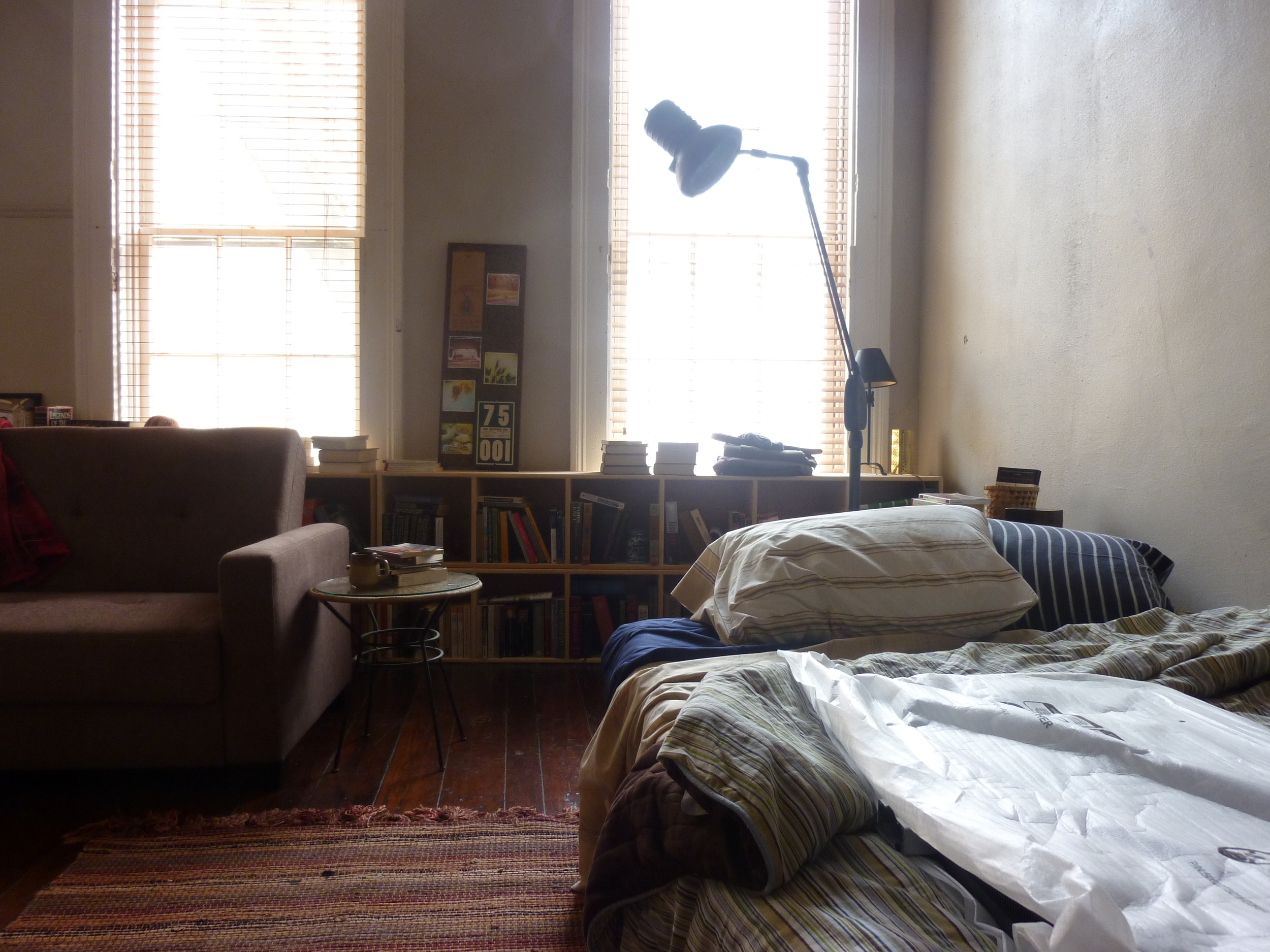 Lay the Favorite (2).JPG