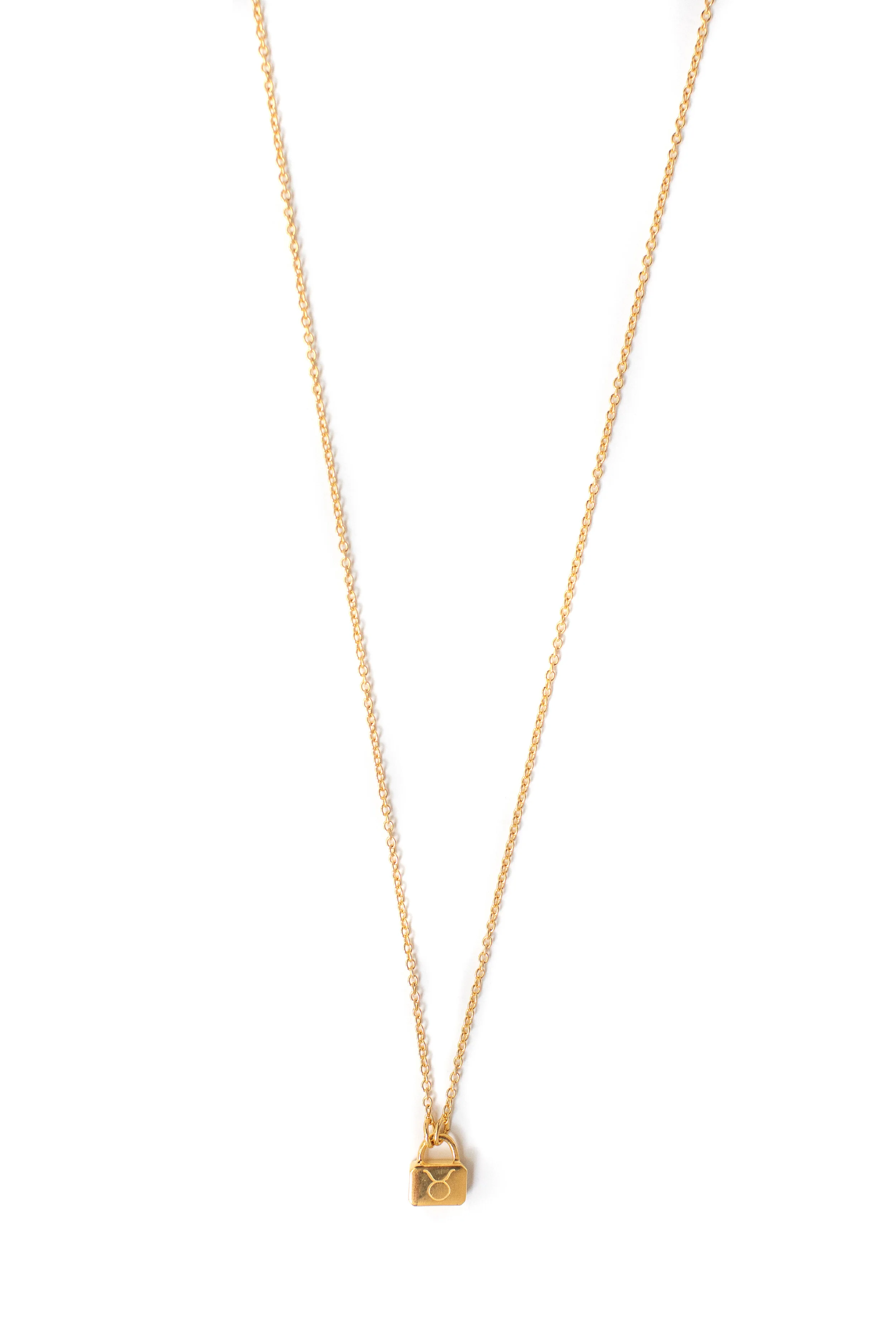 asha-patel-designs-zodiac-lock-necklace