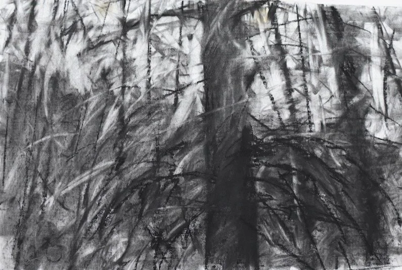 Evening   charcoal on paper 16x20 (in) 2012