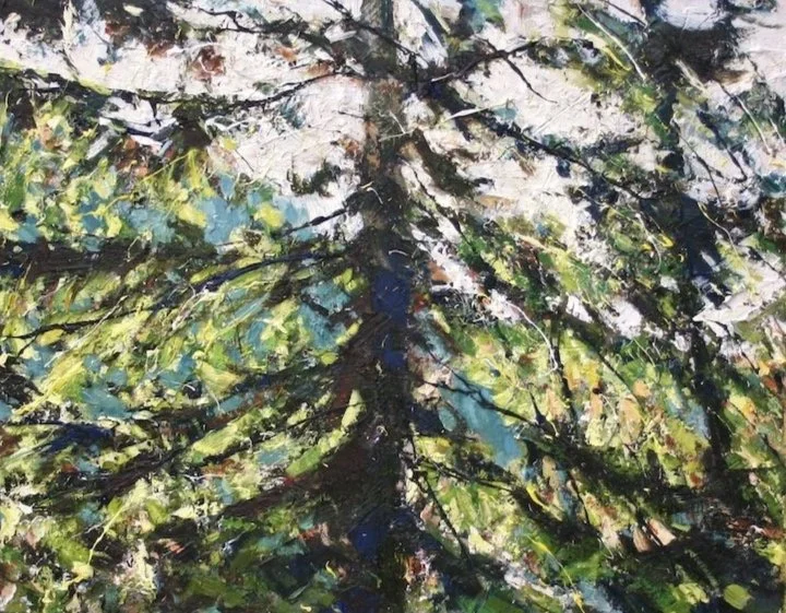 Nelson   oil on canvas  11 × 14 (in) 2011