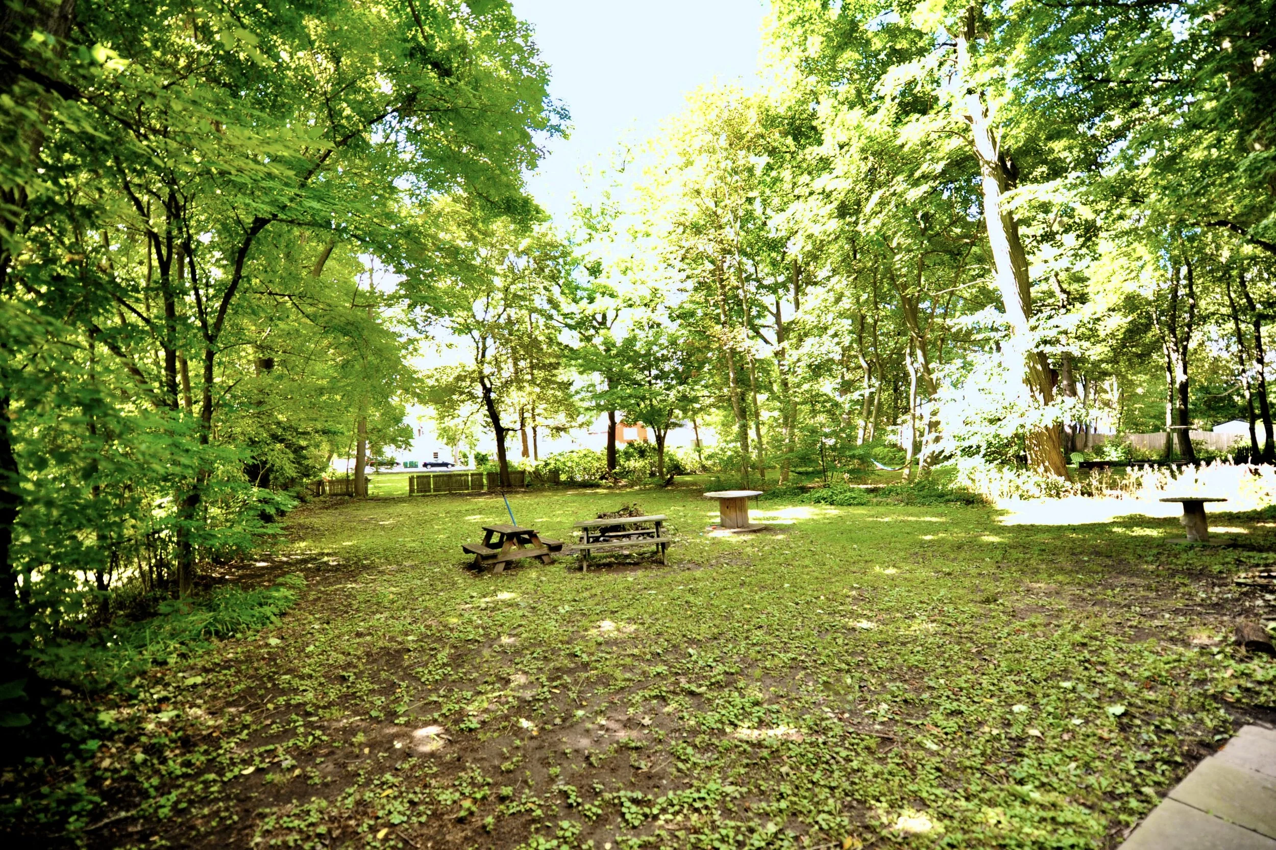 Backyard.jpeg