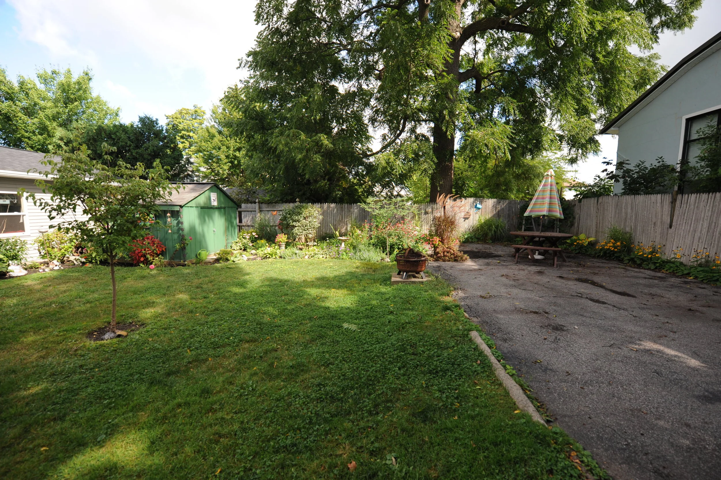 Backyard.jpeg