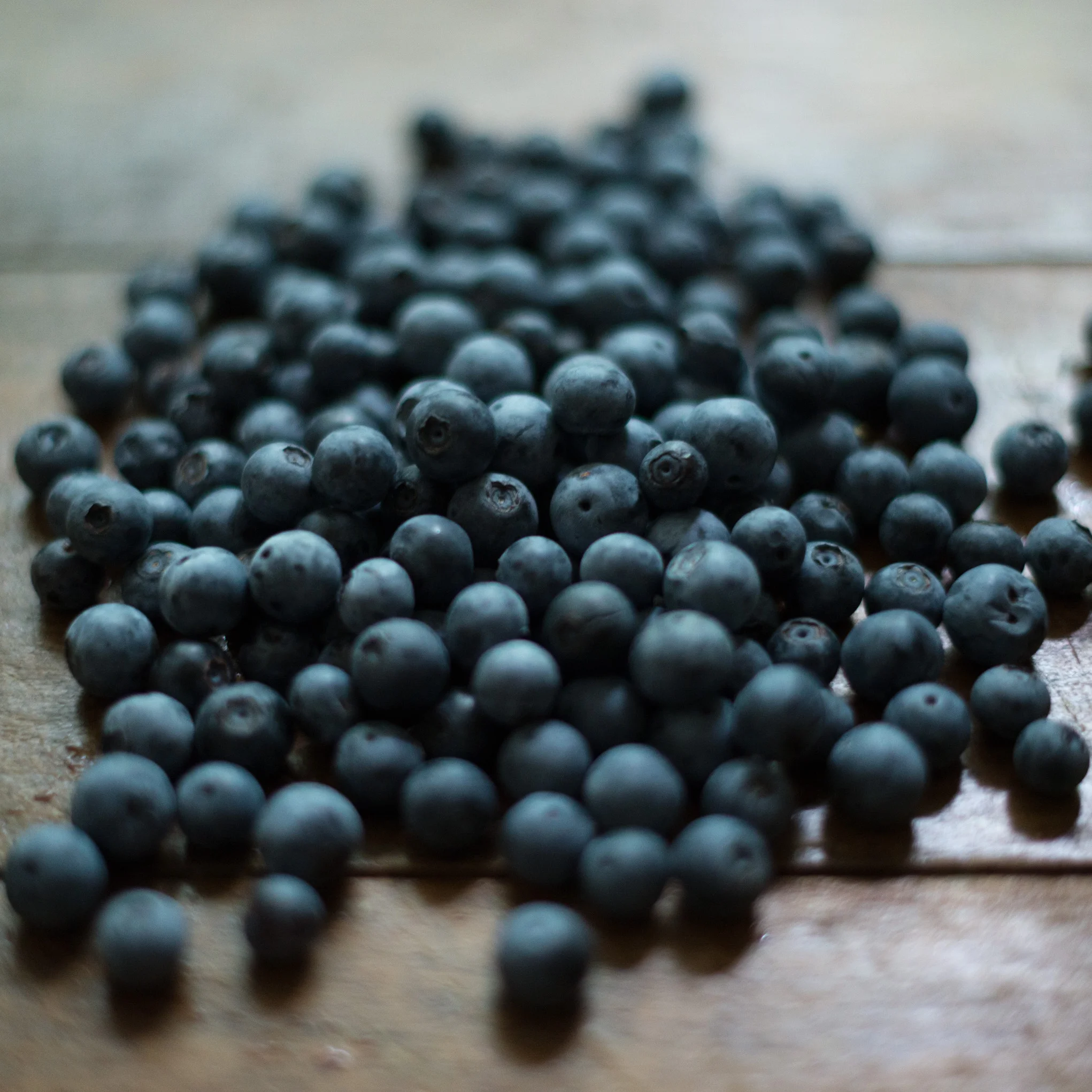 I had to photograph the blueberries when we got home. It is amazing how awesome they taste. So Sweet and delicious. 
