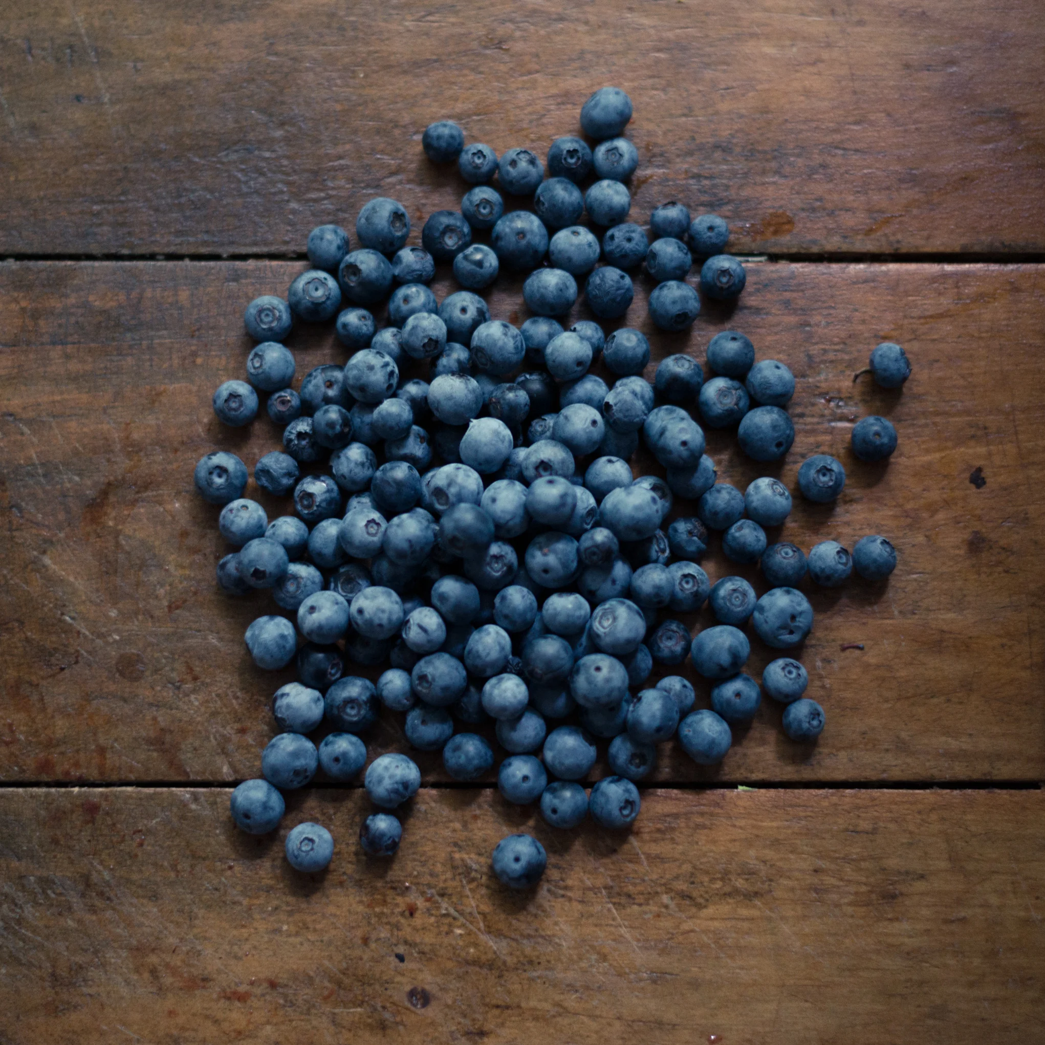 Look at those blueberries. How long do you think they lasted?