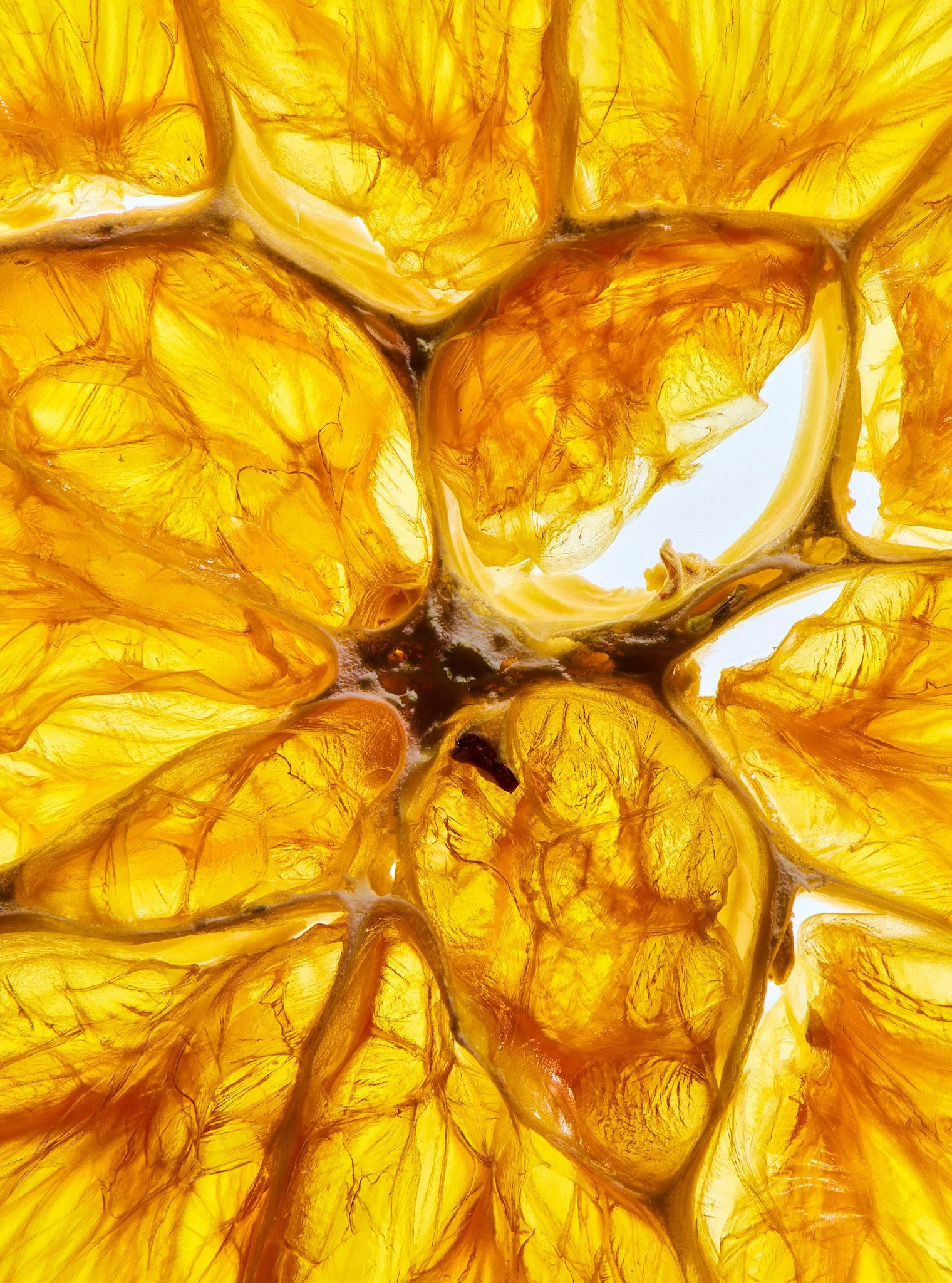 Macro Citrus Fruit