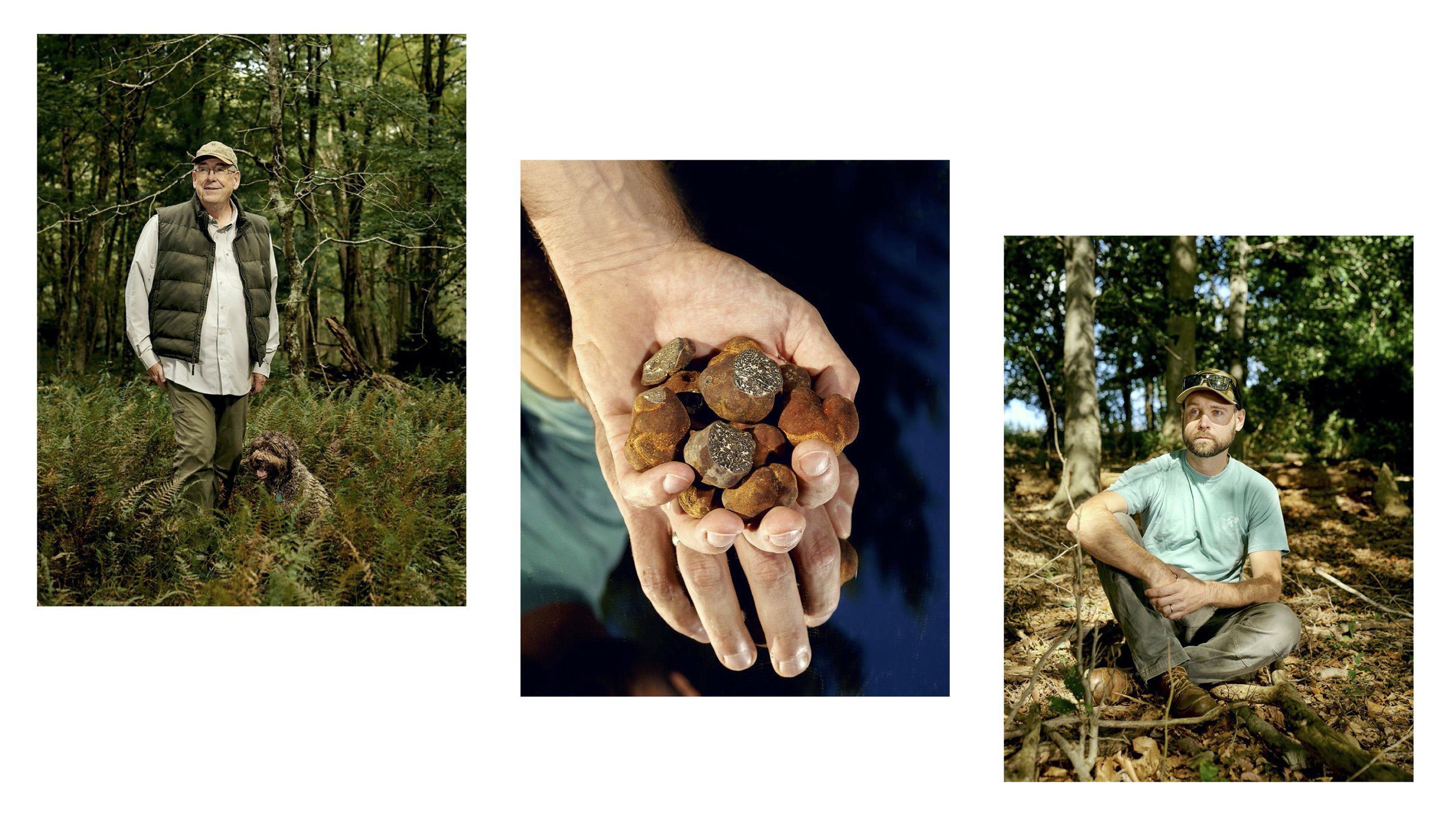 Appalachian Truffle Hunting by Caroline Tompkins