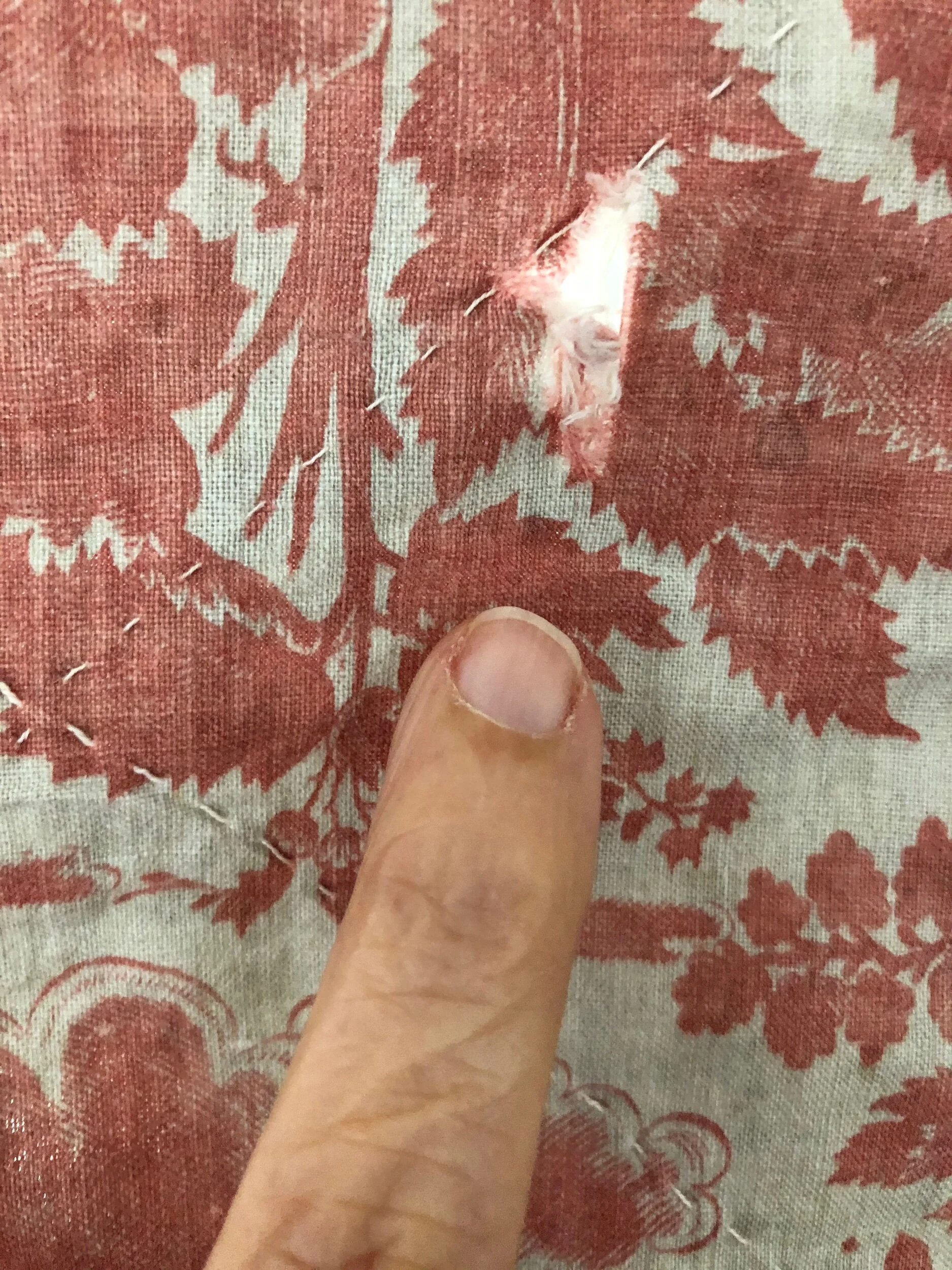 C9C09C2E-39B8-4463-B44D-AEAD8545050C