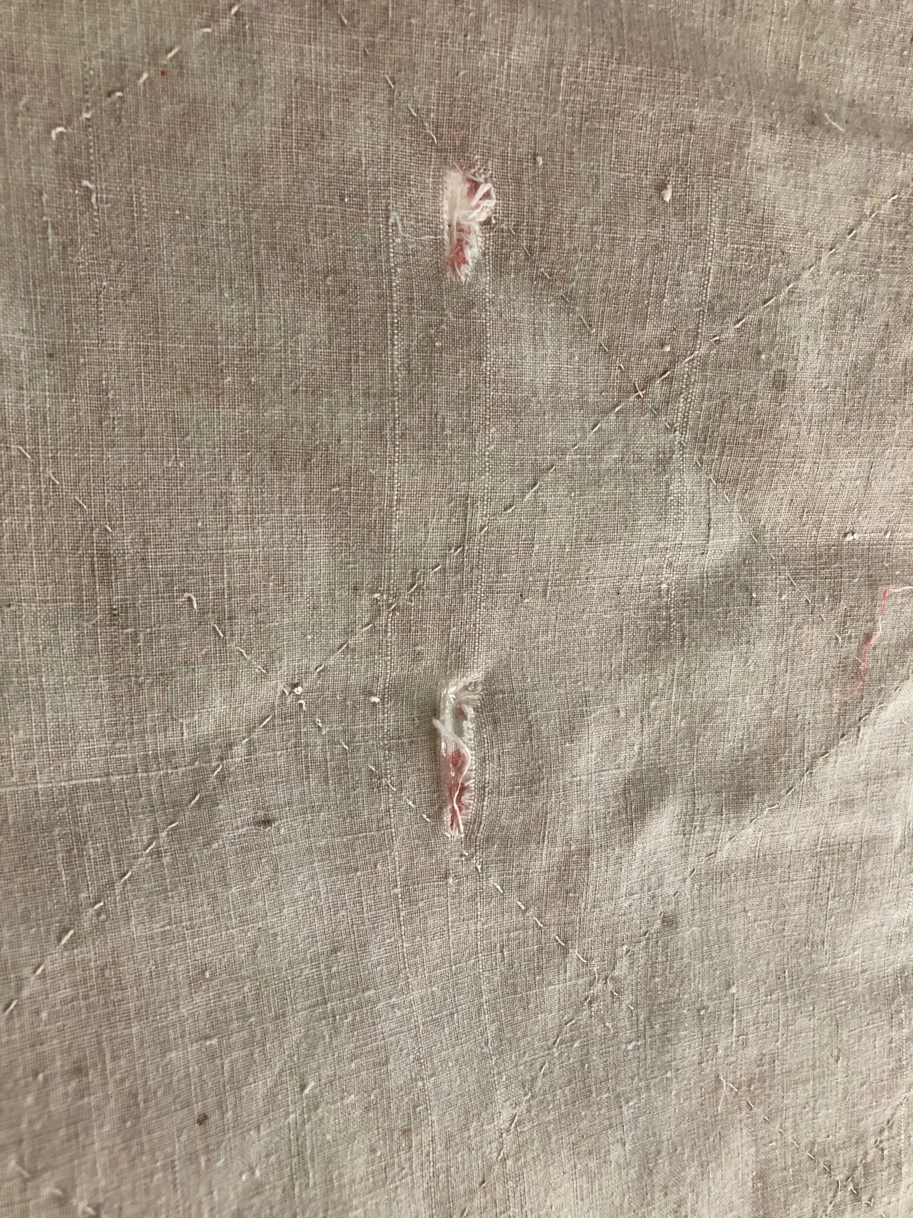 329E9607-D75D-4D7D-93D2-AF07D601B32D