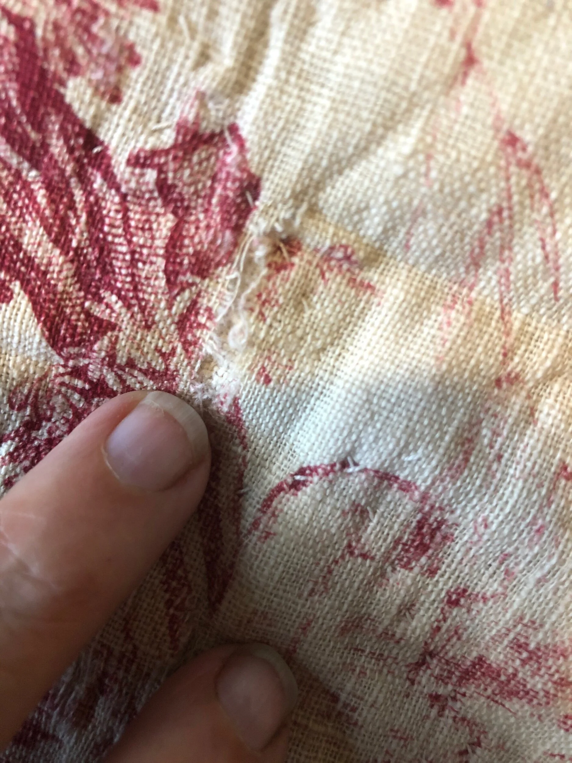 848735BE-6D59-4DE5-9CB4-BCC7A5E39086