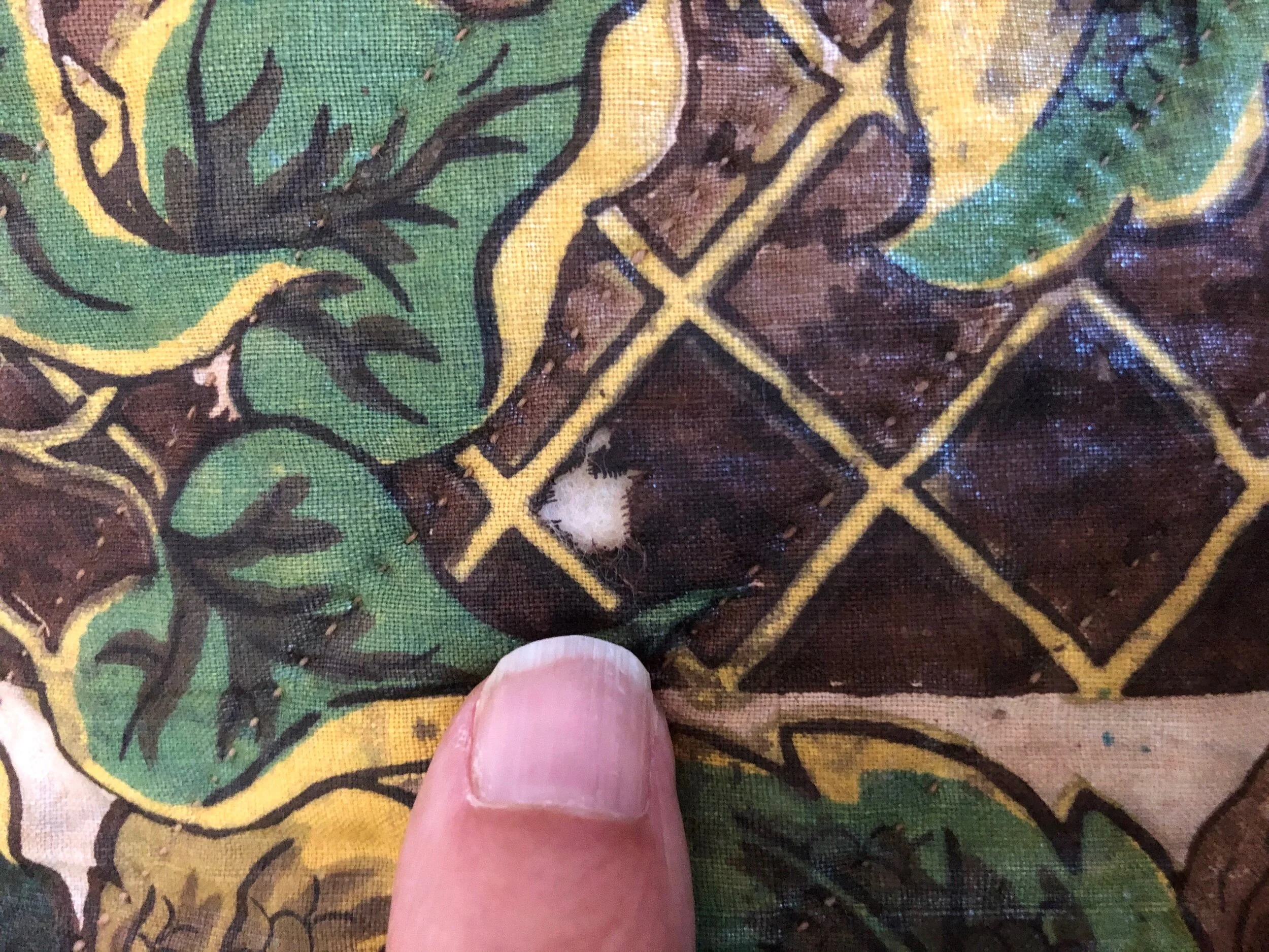 8FC976AB-CA27-4869-963D-6C9734D8879E