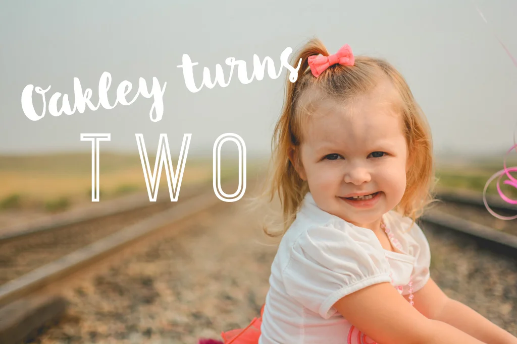 OAKLEY TURNS 2! | Mandan Kids Photographer