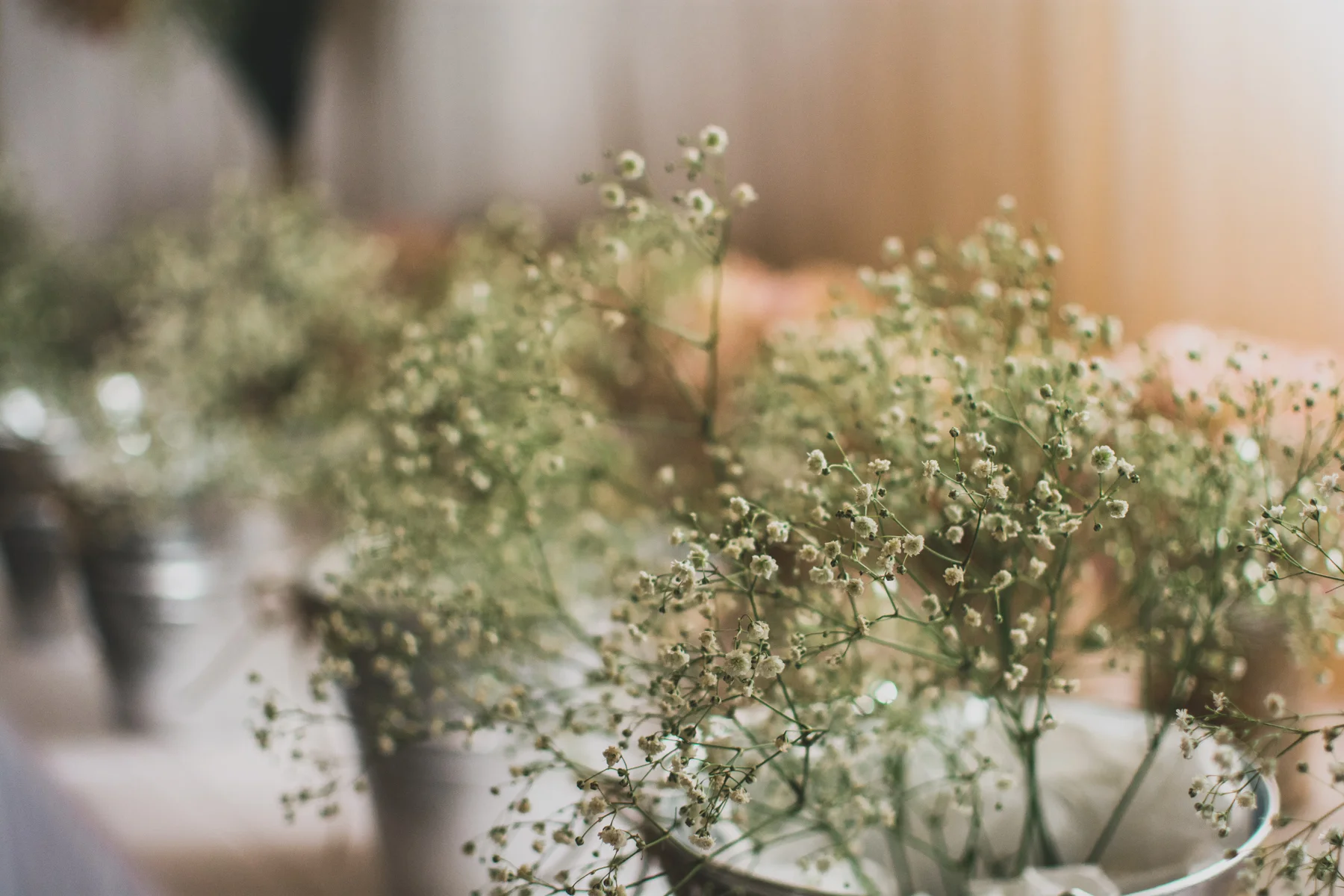 vetterwedding-32.jpg
