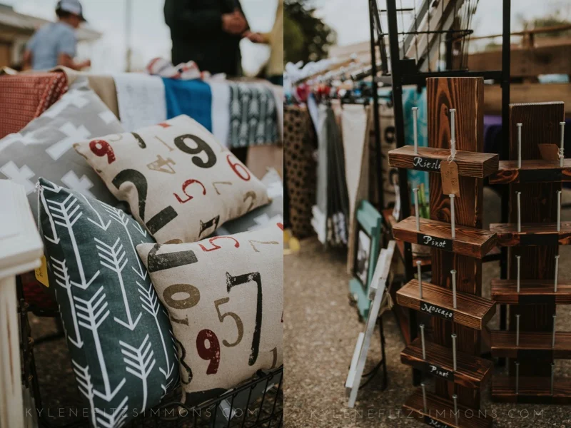maxwellwoods_springflea_minot3.jpg