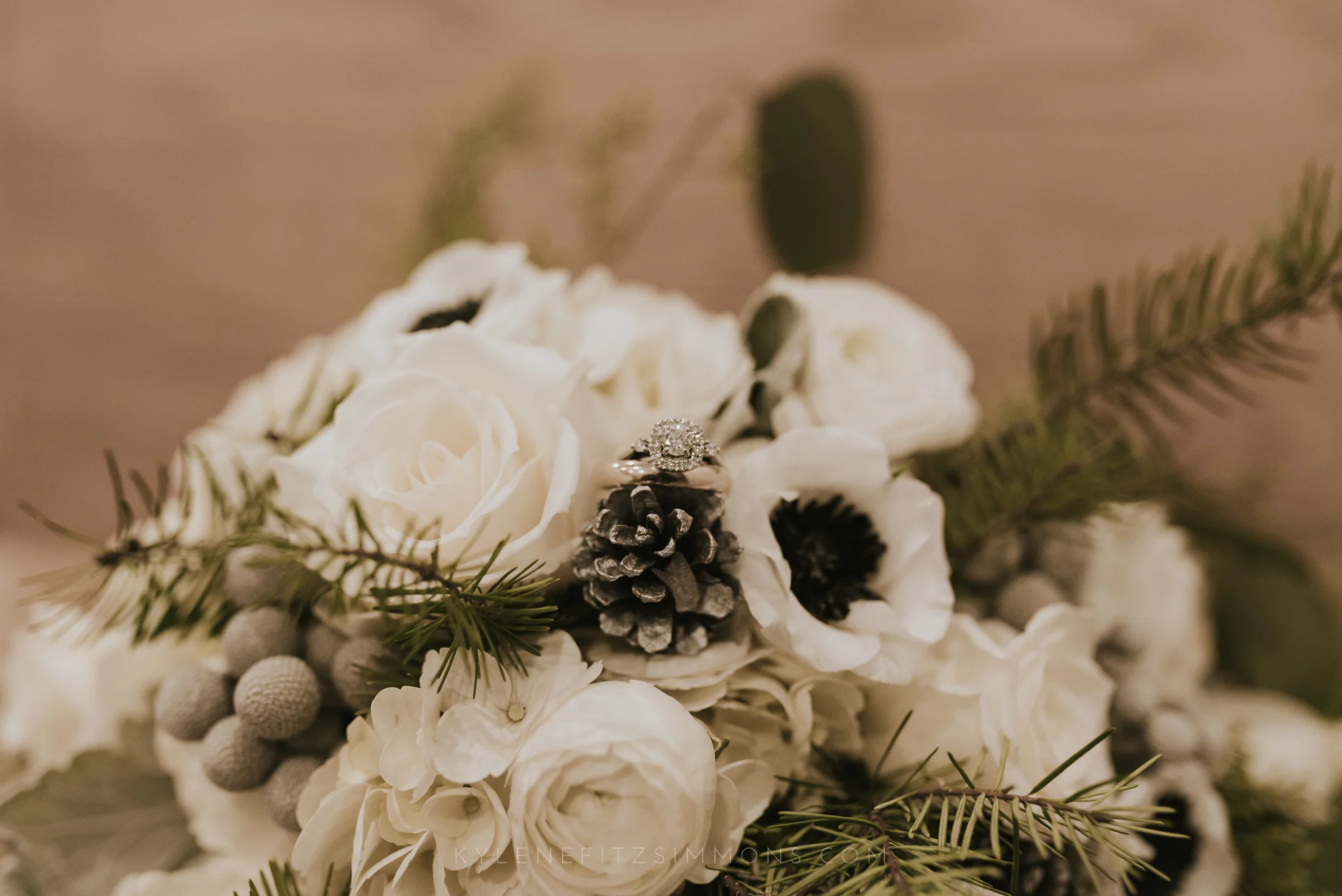 giannonatti-minnesota-winter-wedding-62.jpg