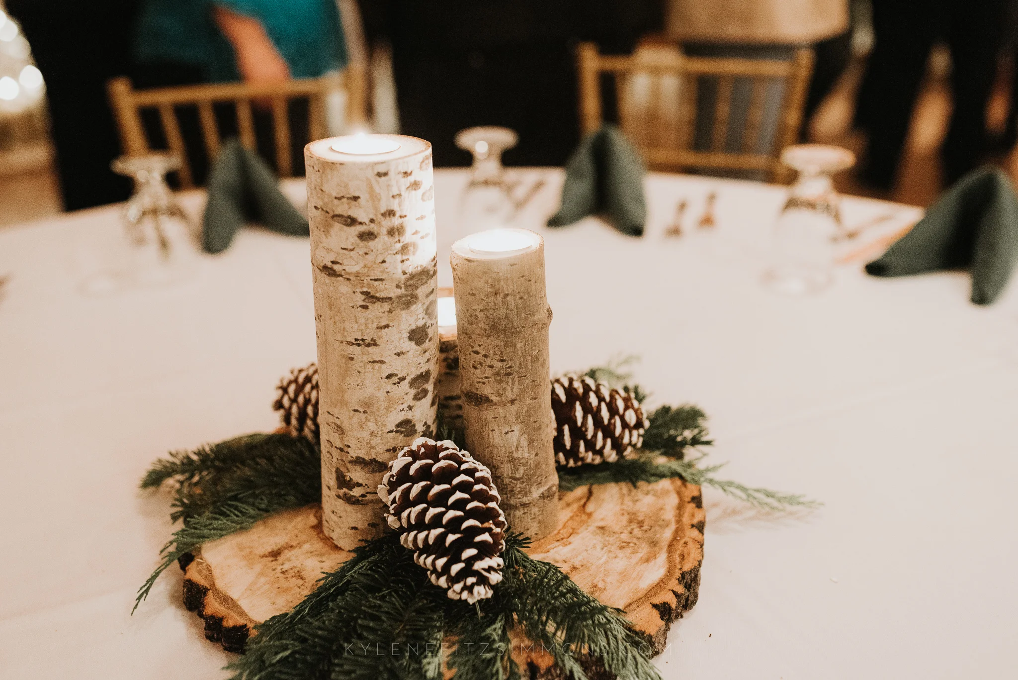 giannonatti-minnesota-winter-wedding-113.jpg
