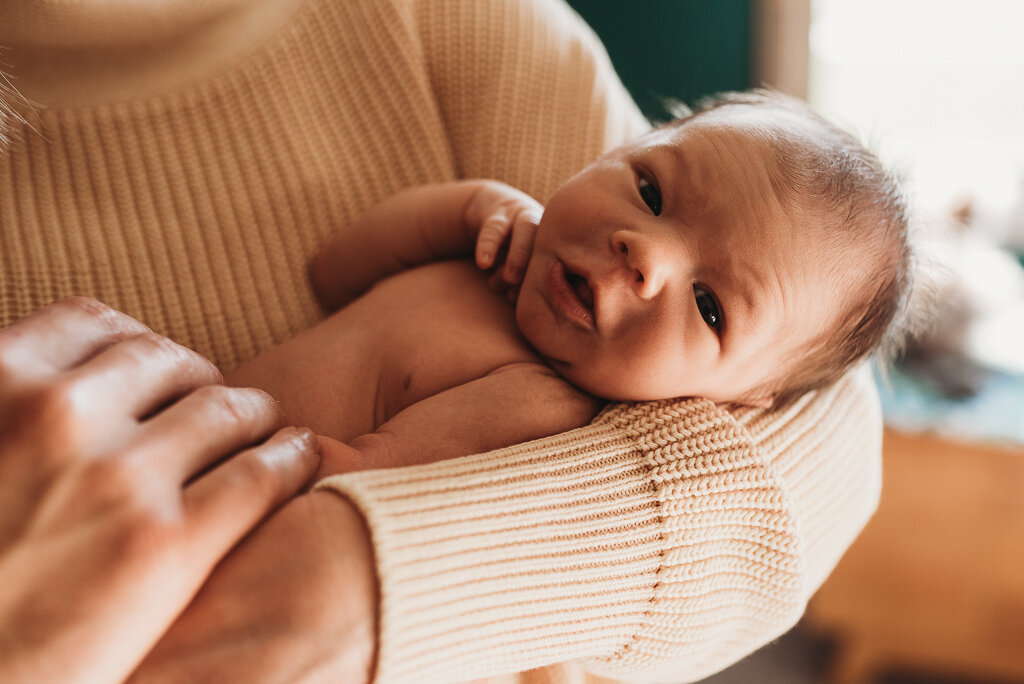 bismarck-mandan-newborn-photography-home-2.jpg