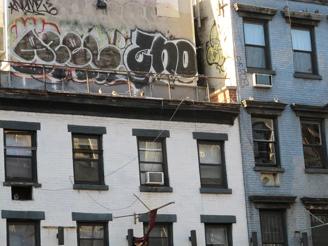 SM WEBSITE IMG_8116.jpg