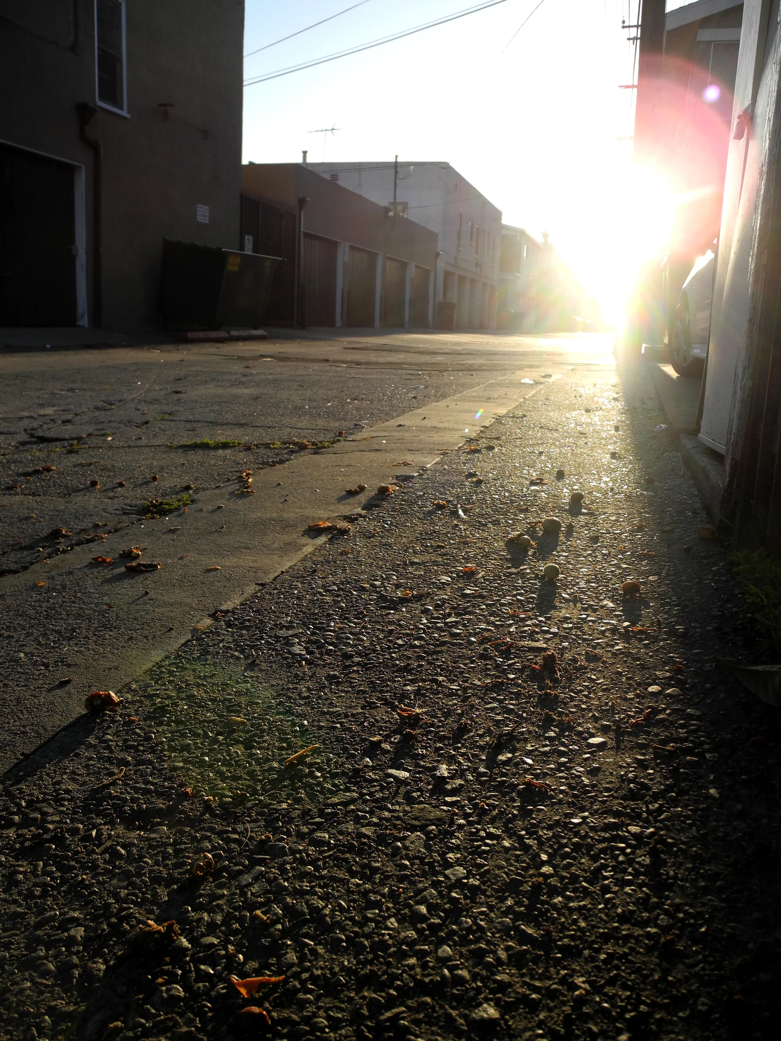 Concrete Long Beach.jpg