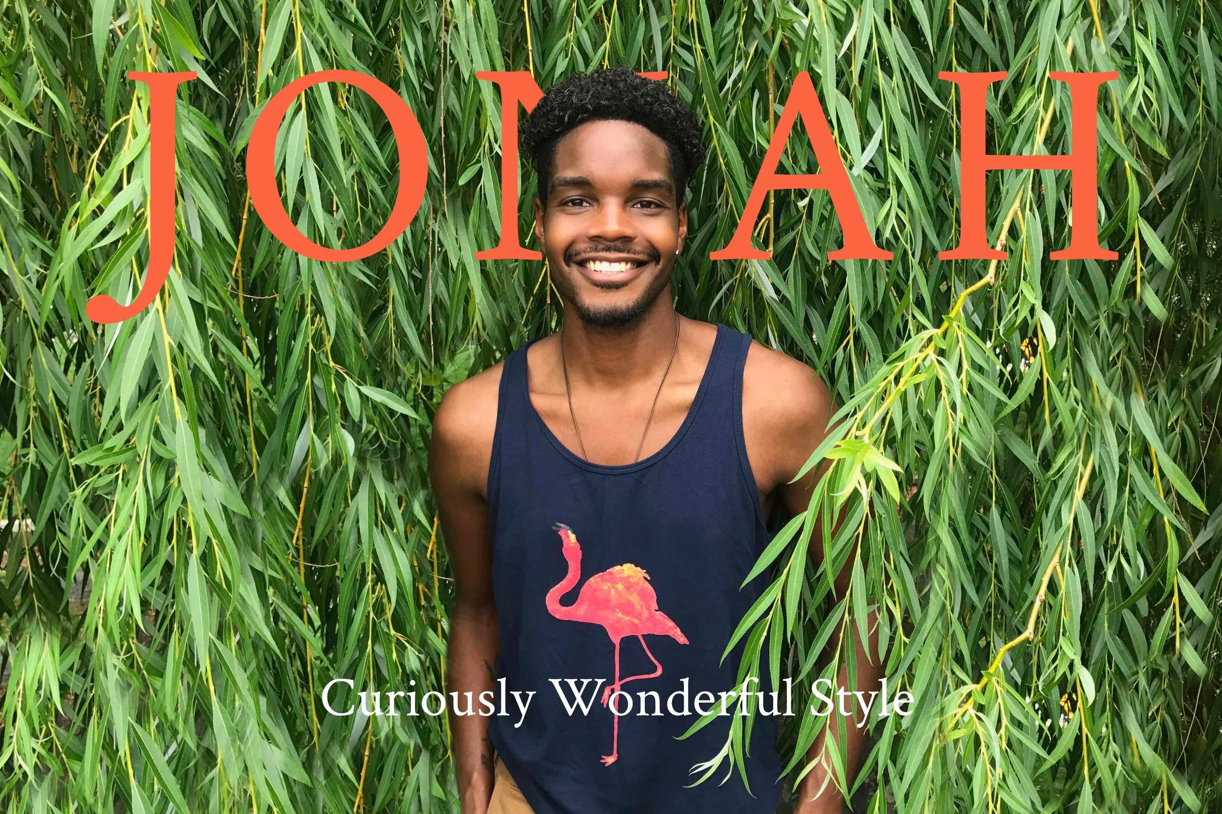 Jonah+Web+Opener+flamingo+tank.jpg