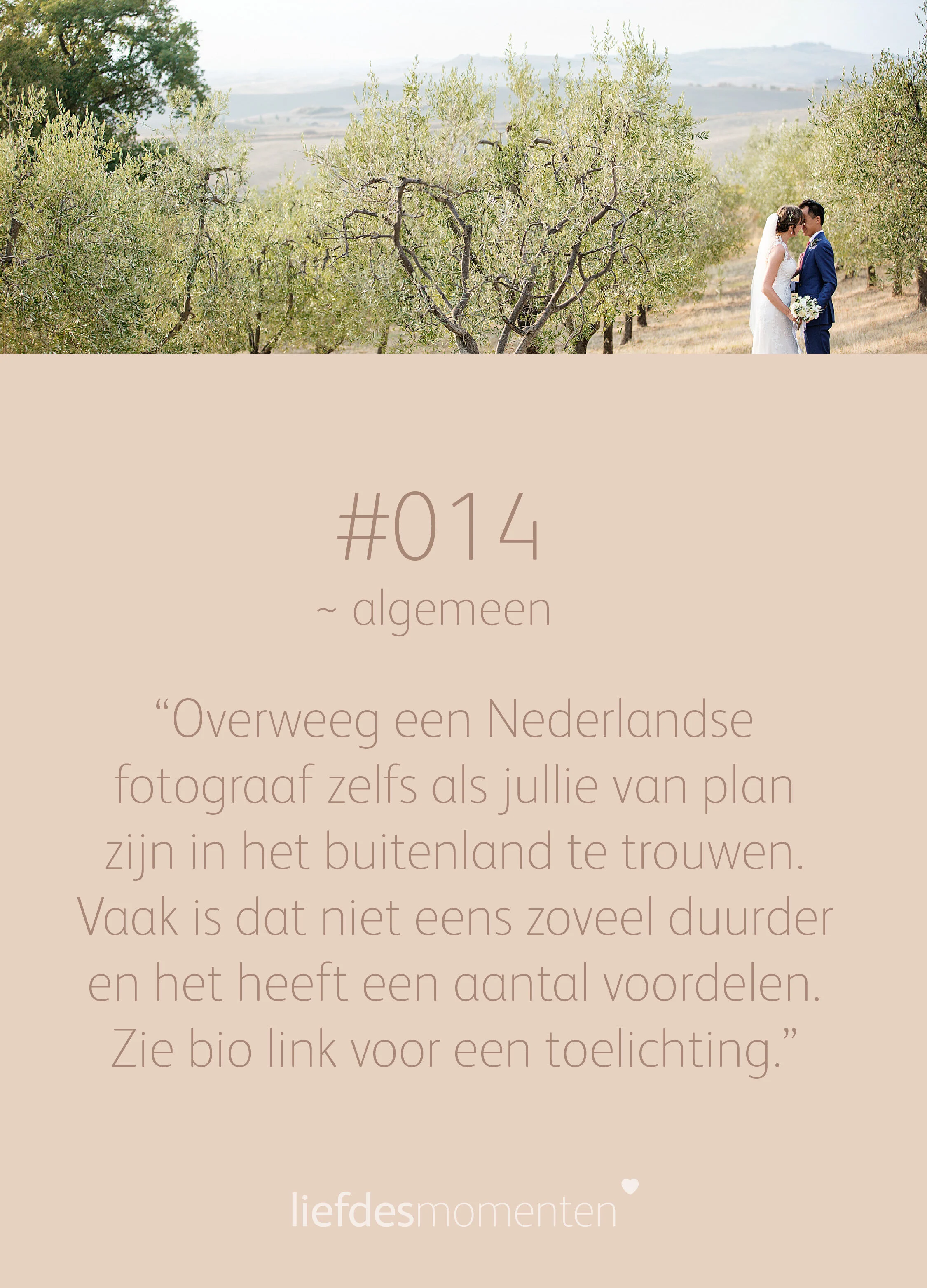 LM 100tips_014_BLOG.jpg