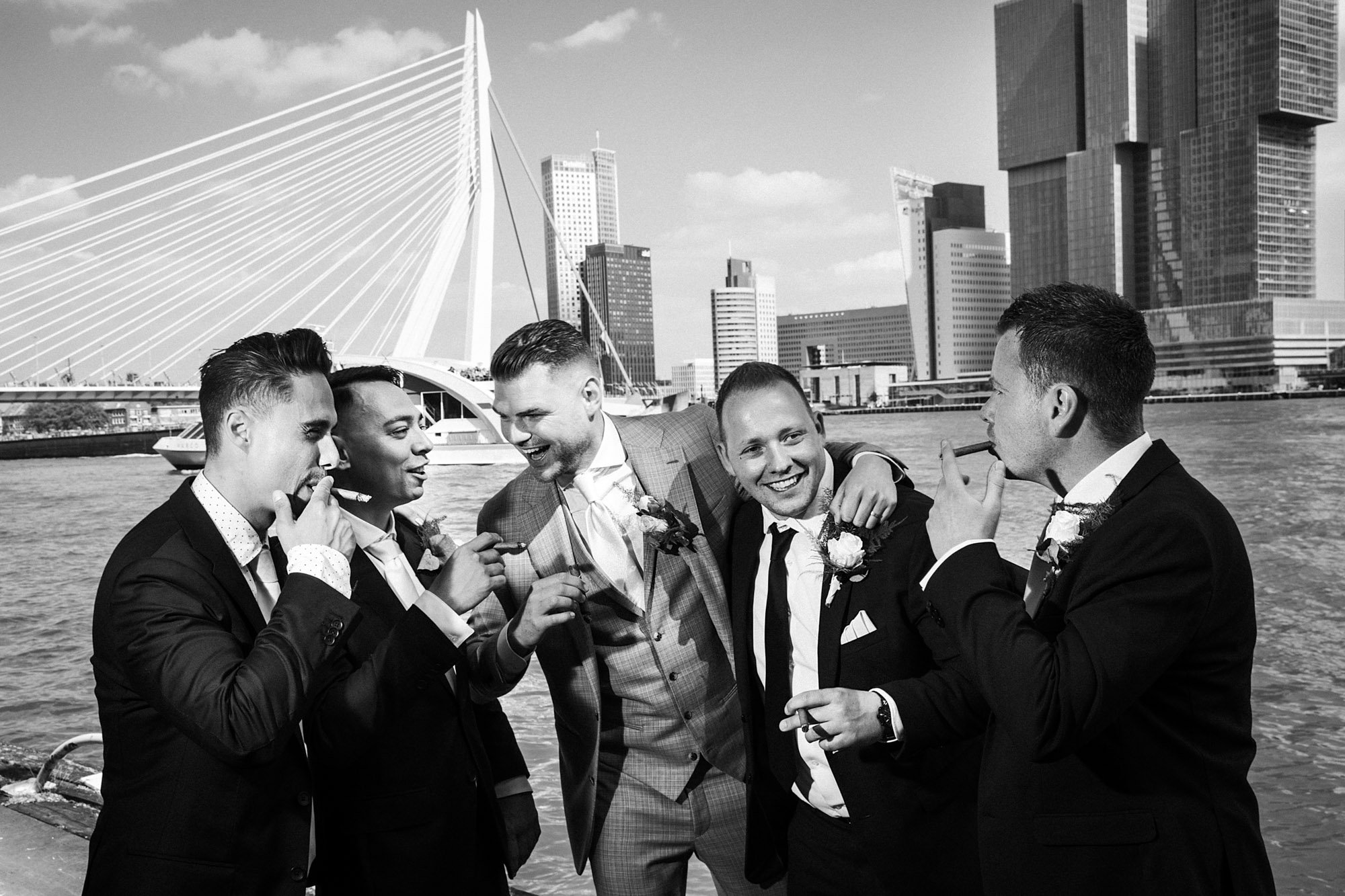 LM503_FAV087 PROMO.jpg