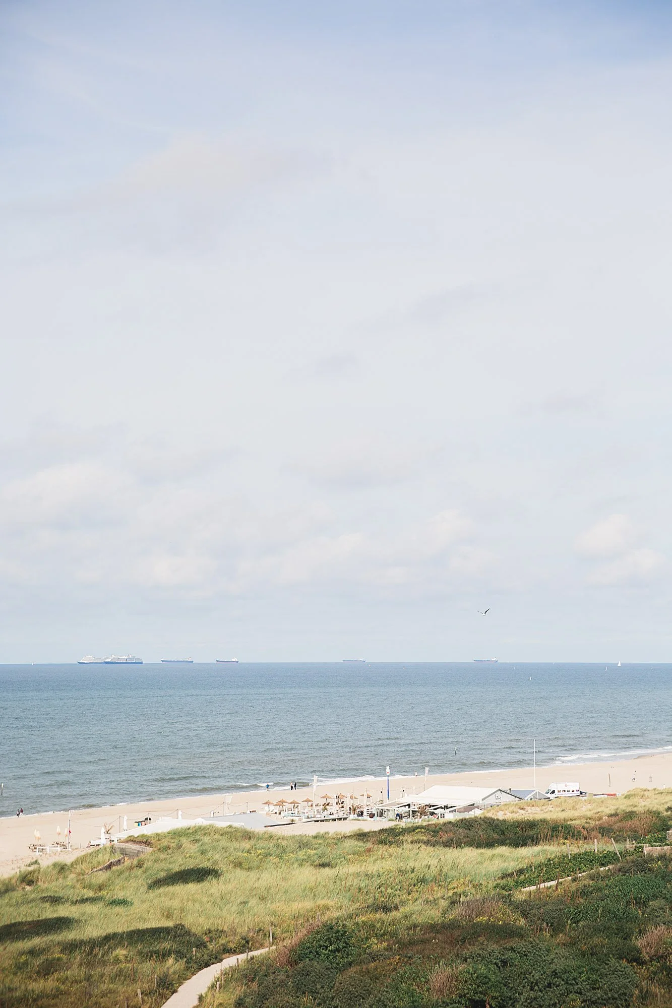 LM565_FAV013 PROMO.jpg