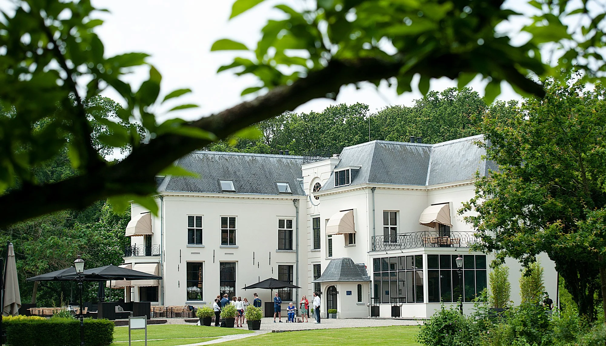 LM526_FAV072 PROMO.jpg