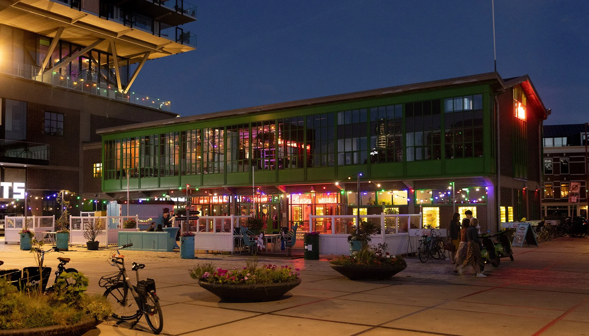 LM593_FAV135 PROMO.jpg