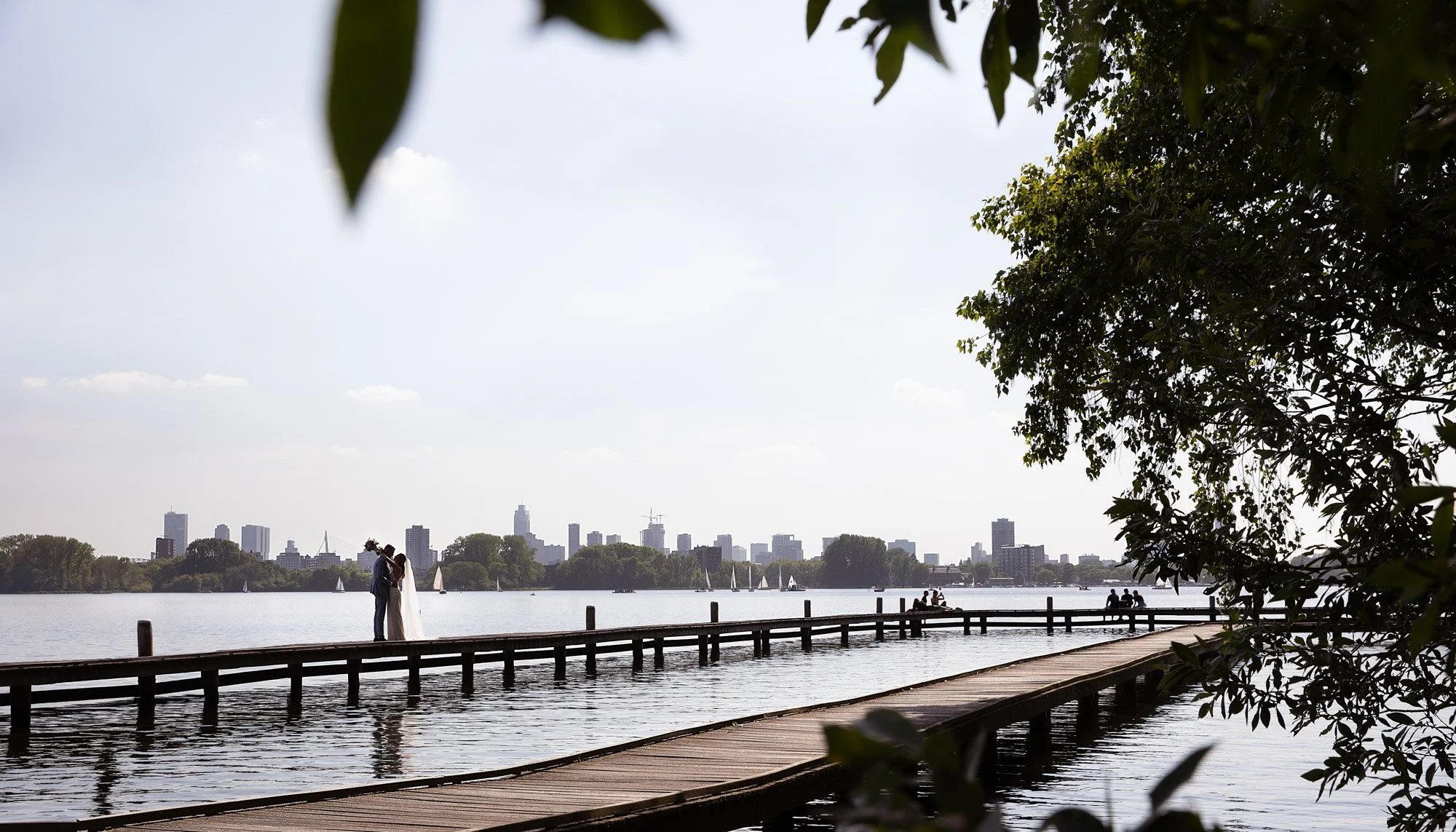 LM503_FAV115 PROMO.jpg