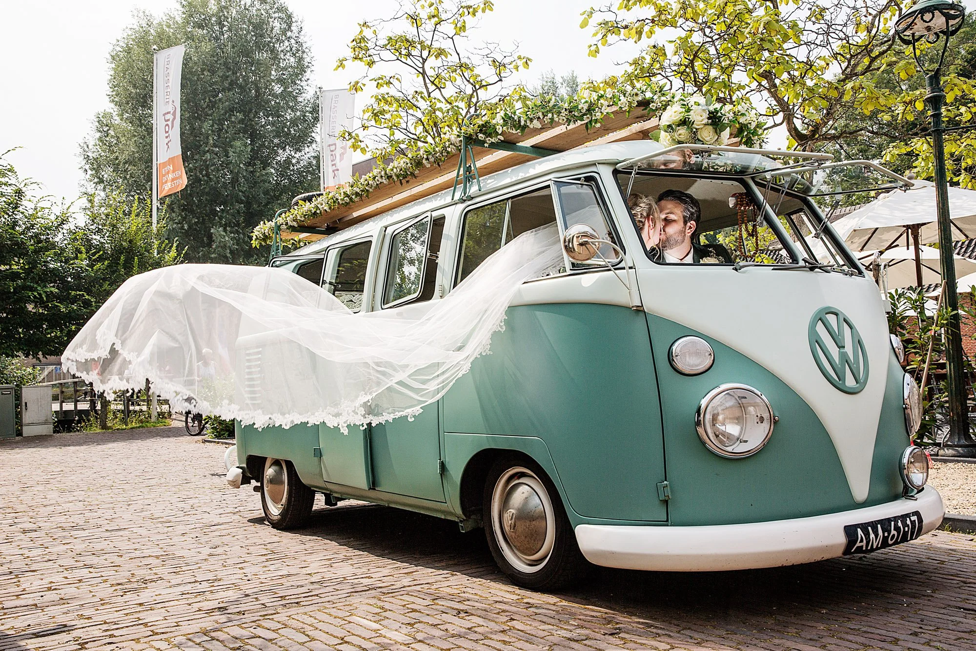 LM486_FAV069 PROMO.jpg