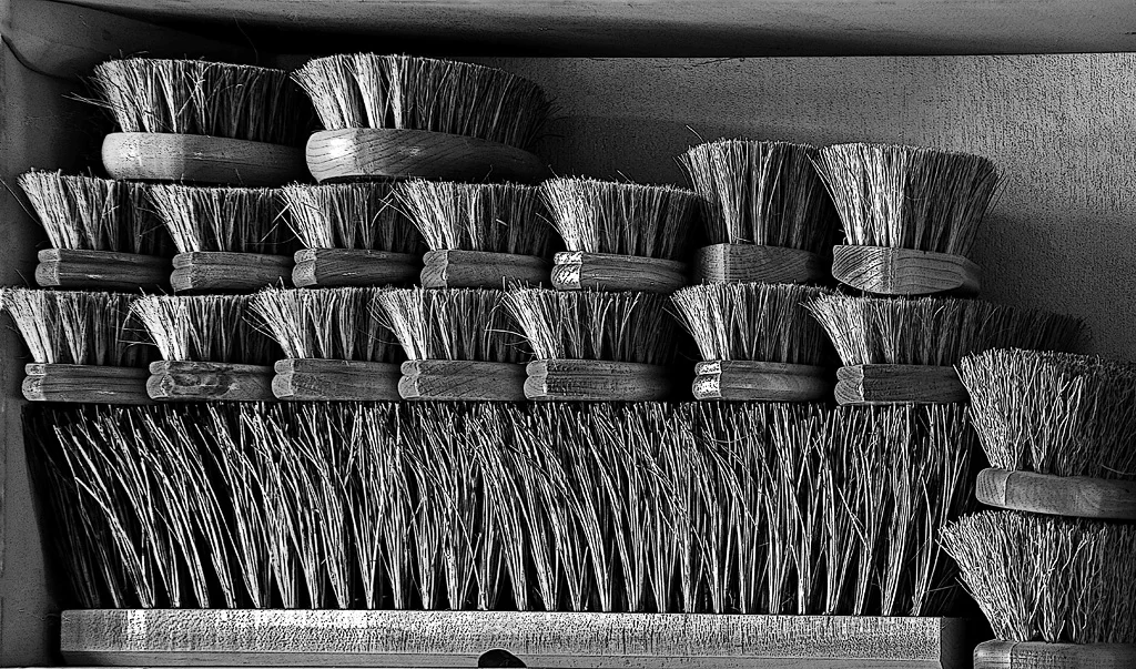 Monochrome Open Projected 2nd Place