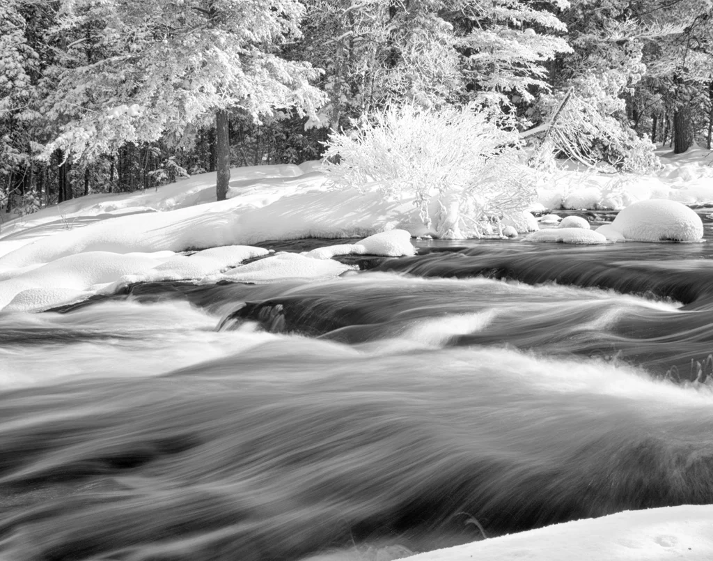 Mono nature Large Print 3rd place