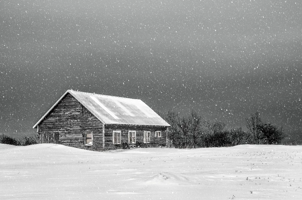 Mono Open Large Print 1st place