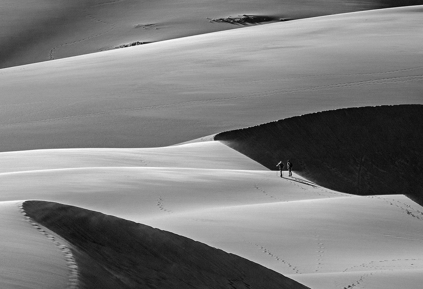 2830~MOSP~Shadows_And_Hikers~Emmerich Jr~Gerald H~IMC.jpg
