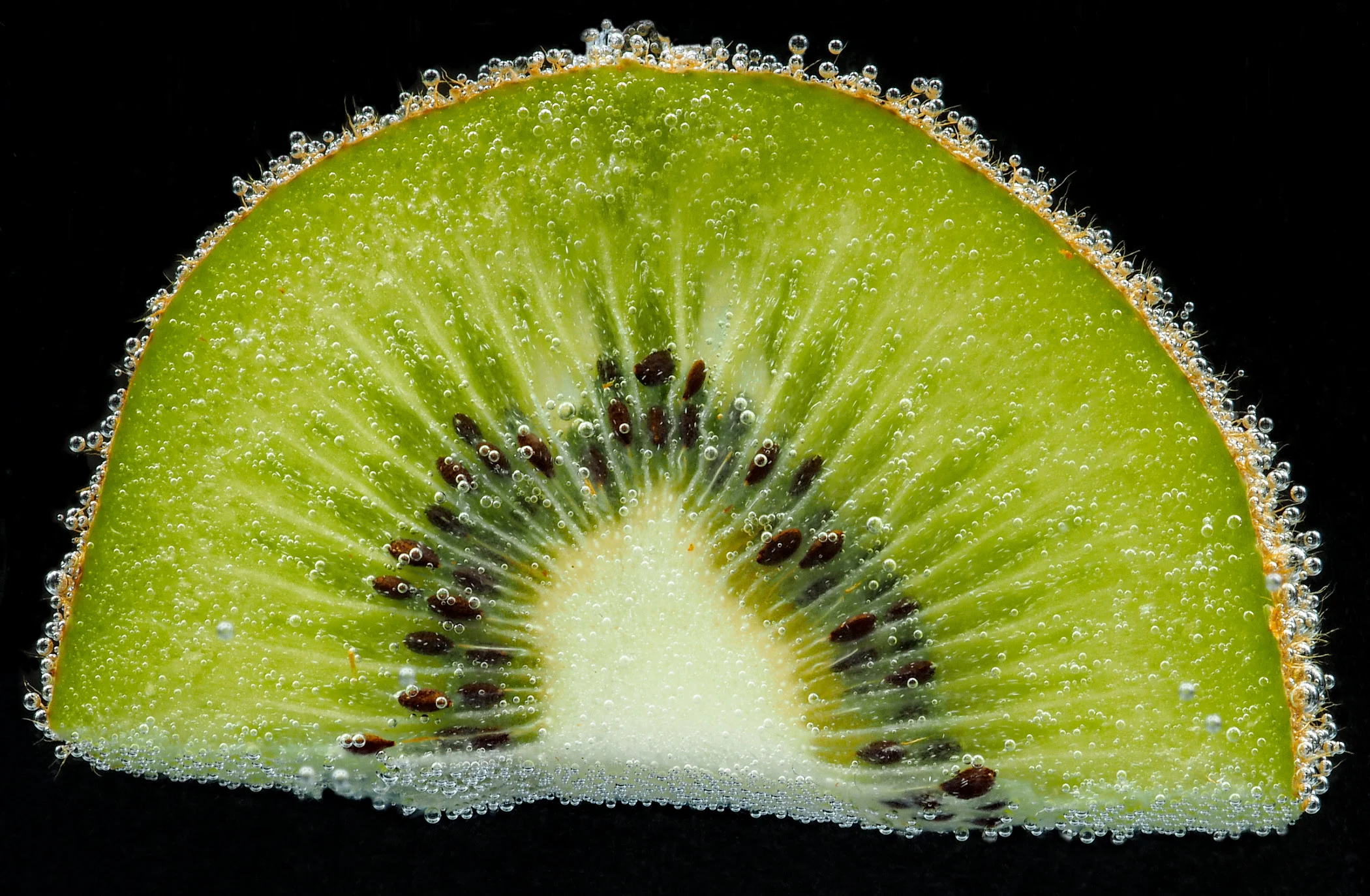 2571~COP~Kiwi_Bubbles~Buchholz~Jessie~MFC.jpg