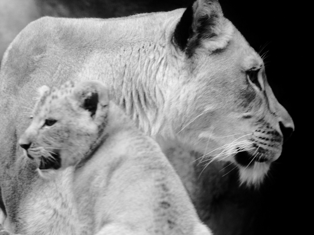 3449~MNP~Me_And_My_Mom~Baer~Ruth~PPM.jpg