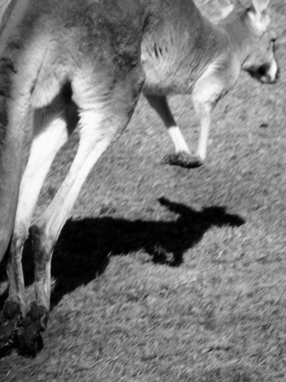 7971~MNP~Going_Places~Baer~Ruth~PPM.jpg