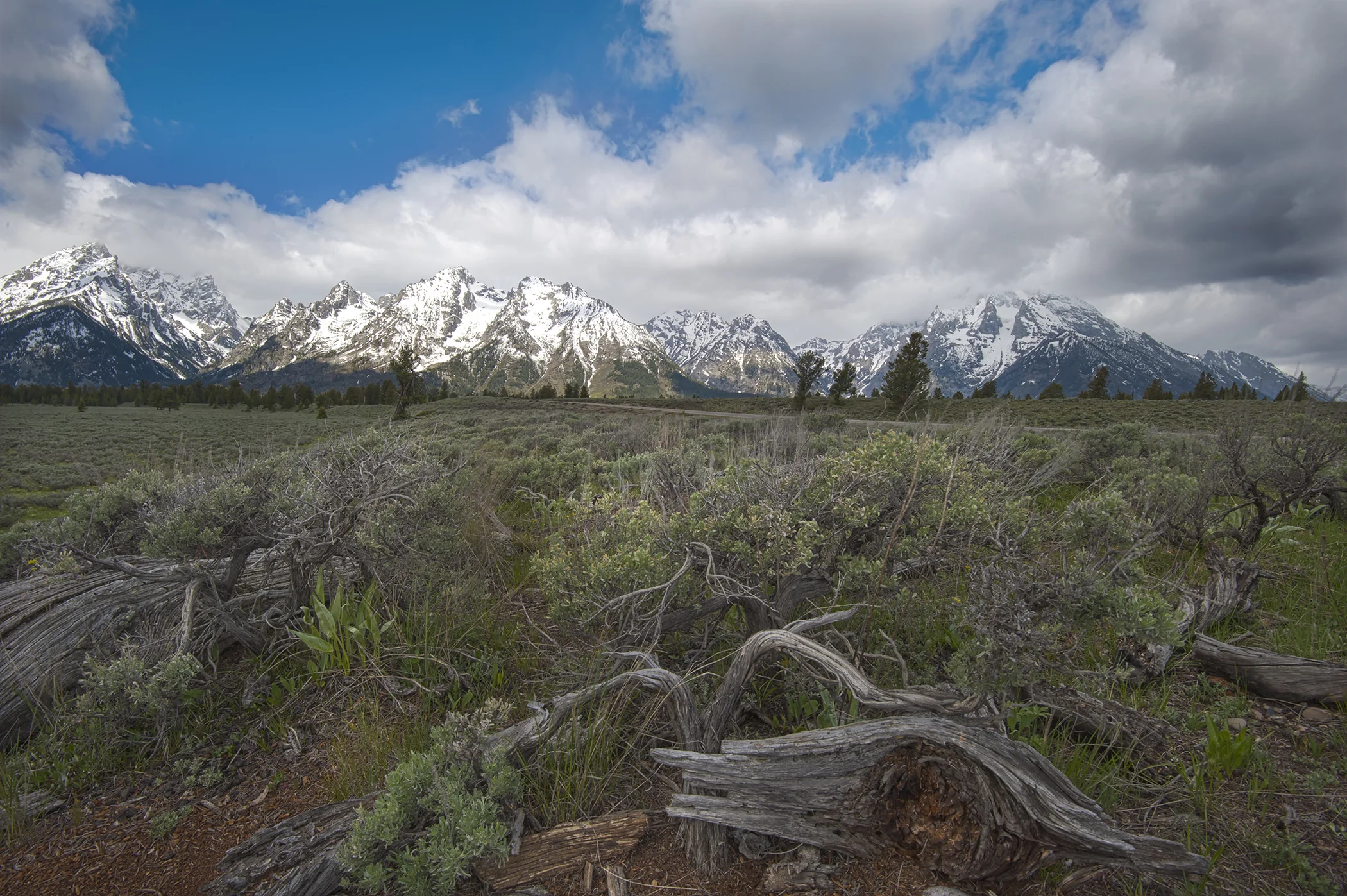 6505~CNSP~Sagebrush_And_Tetons~Dumont~Mary~WNC.jpg
