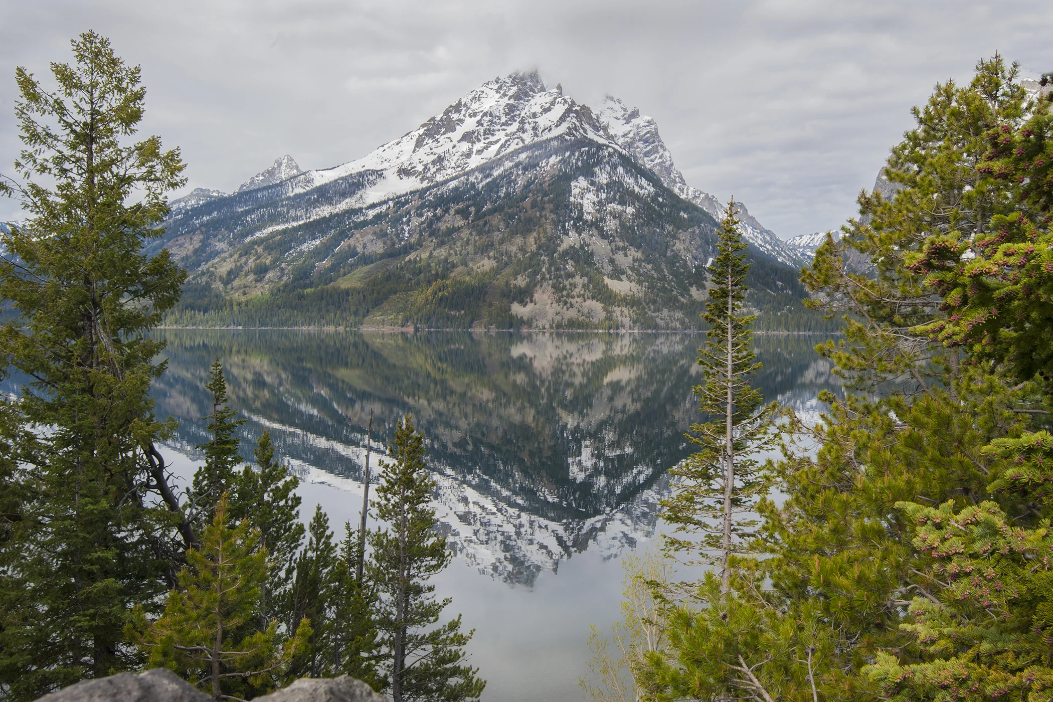 2399~CNSP~Mountain~Dumont~Mary~WNC.jpg