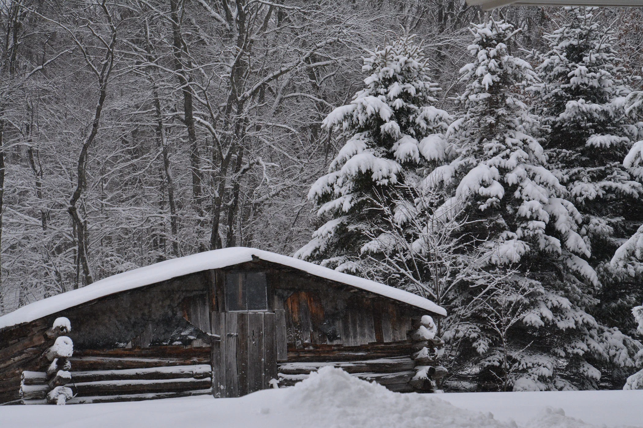The Old Log Shed - Connie Sierack